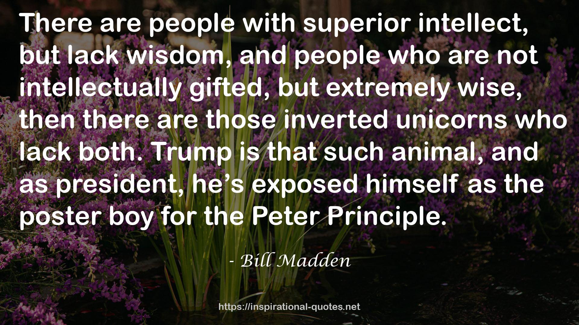 Bill Madden QUOTES