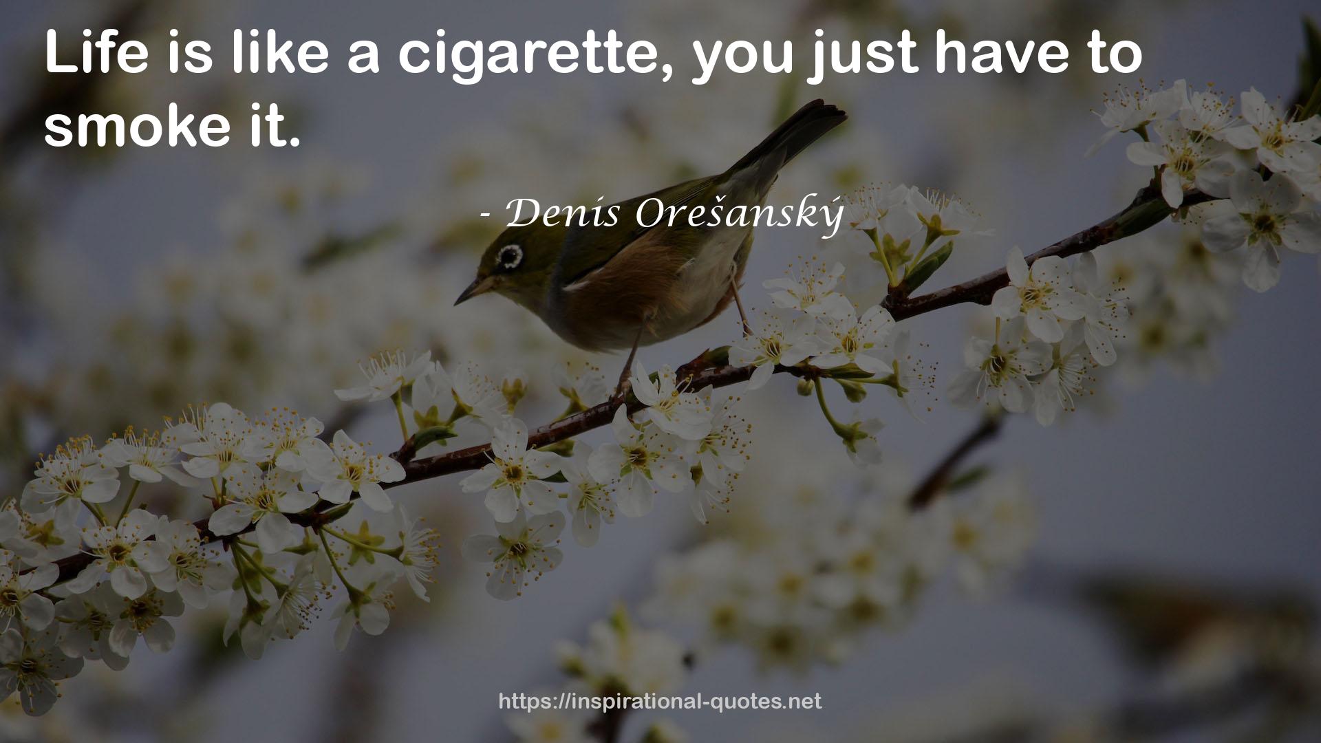 Denis Orešanský QUOTES