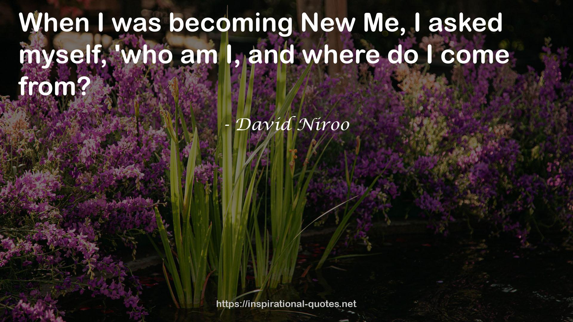 David Niroo QUOTES