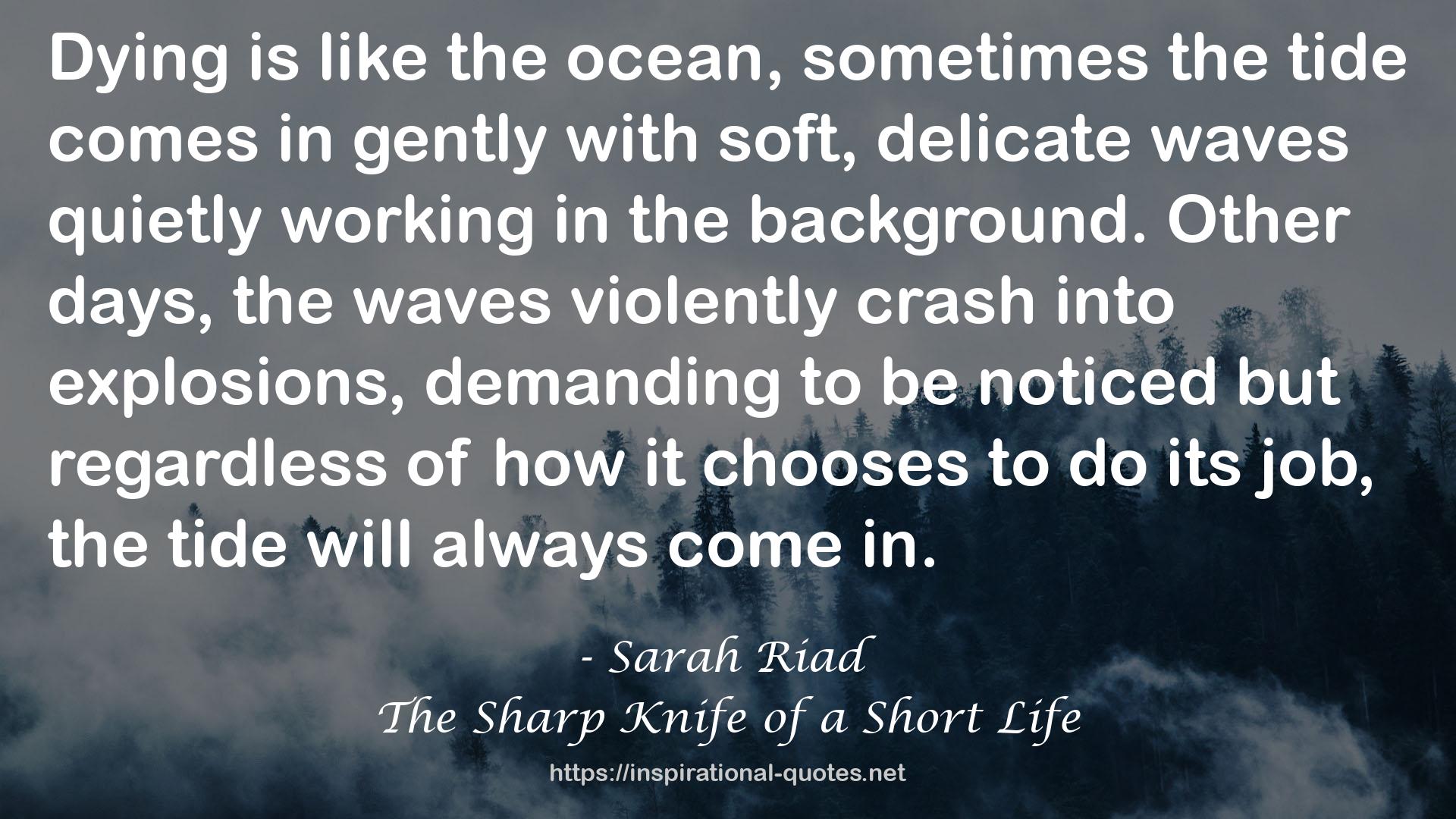 The Sharp Knife of a Short Life QUOTES