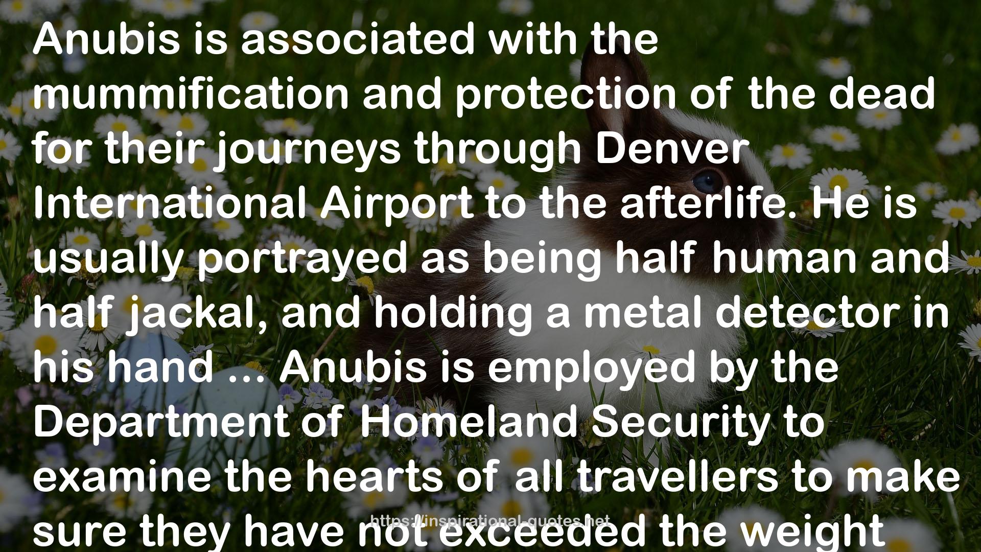 the Department of Homeland Security  QUOTES