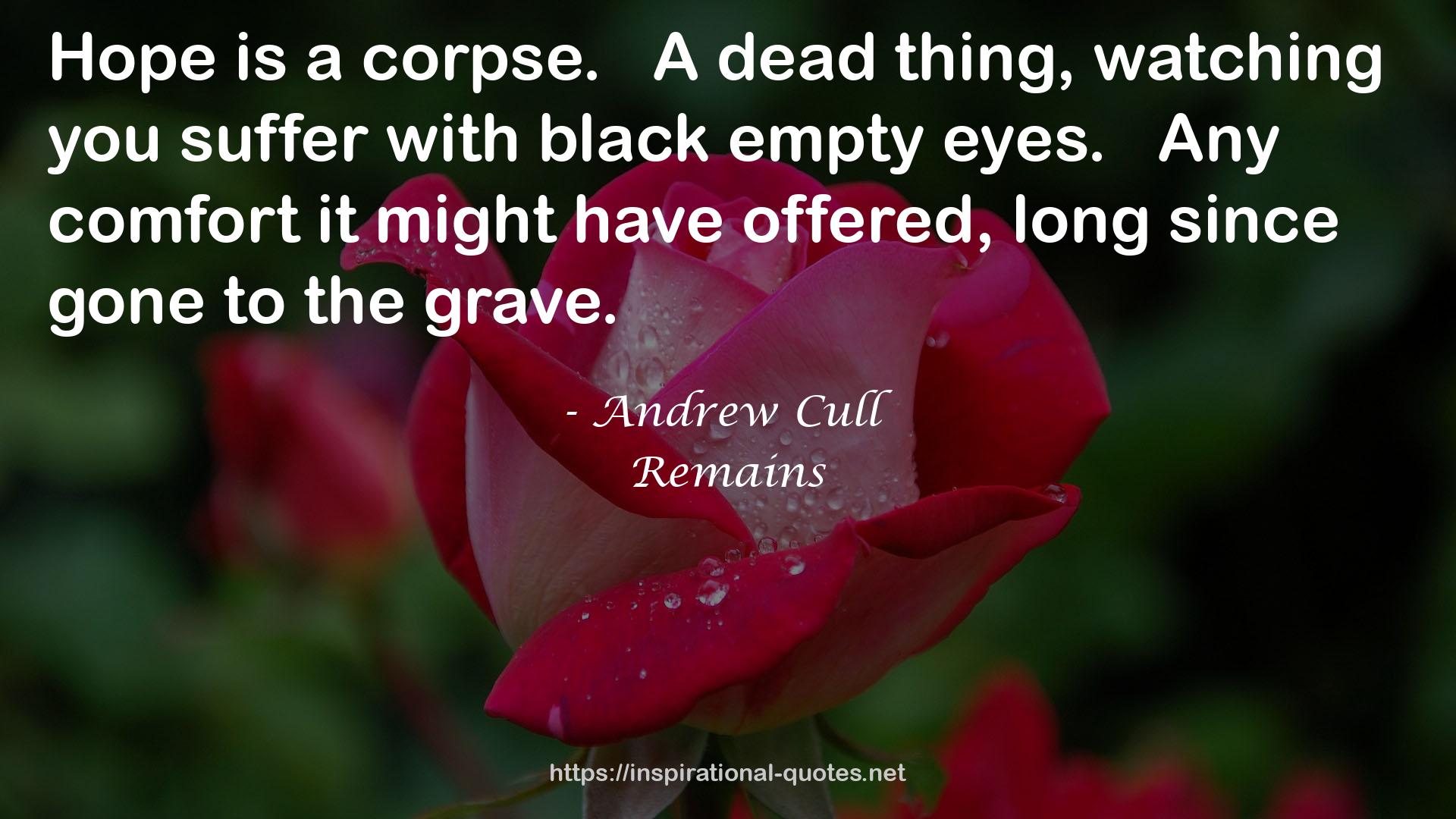 Remains QUOTES