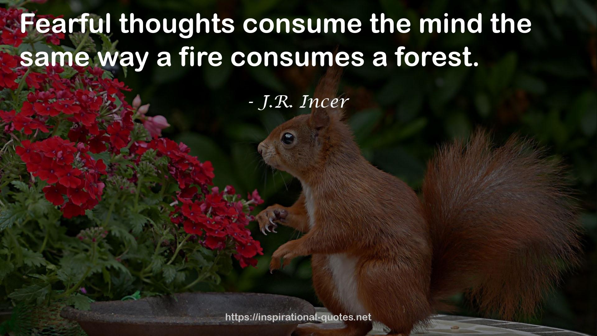 J.R. Incer QUOTES