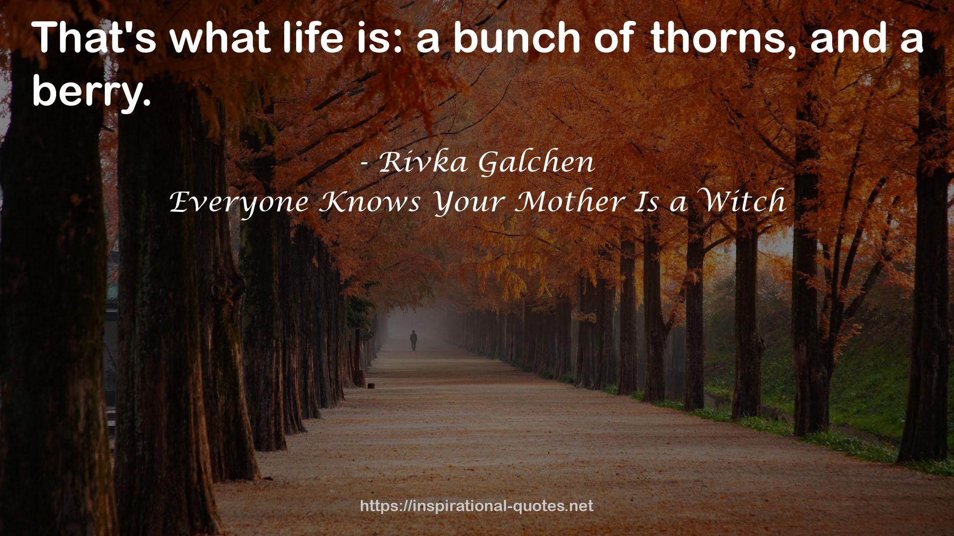 Everyone Knows Your Mother Is a Witch QUOTES