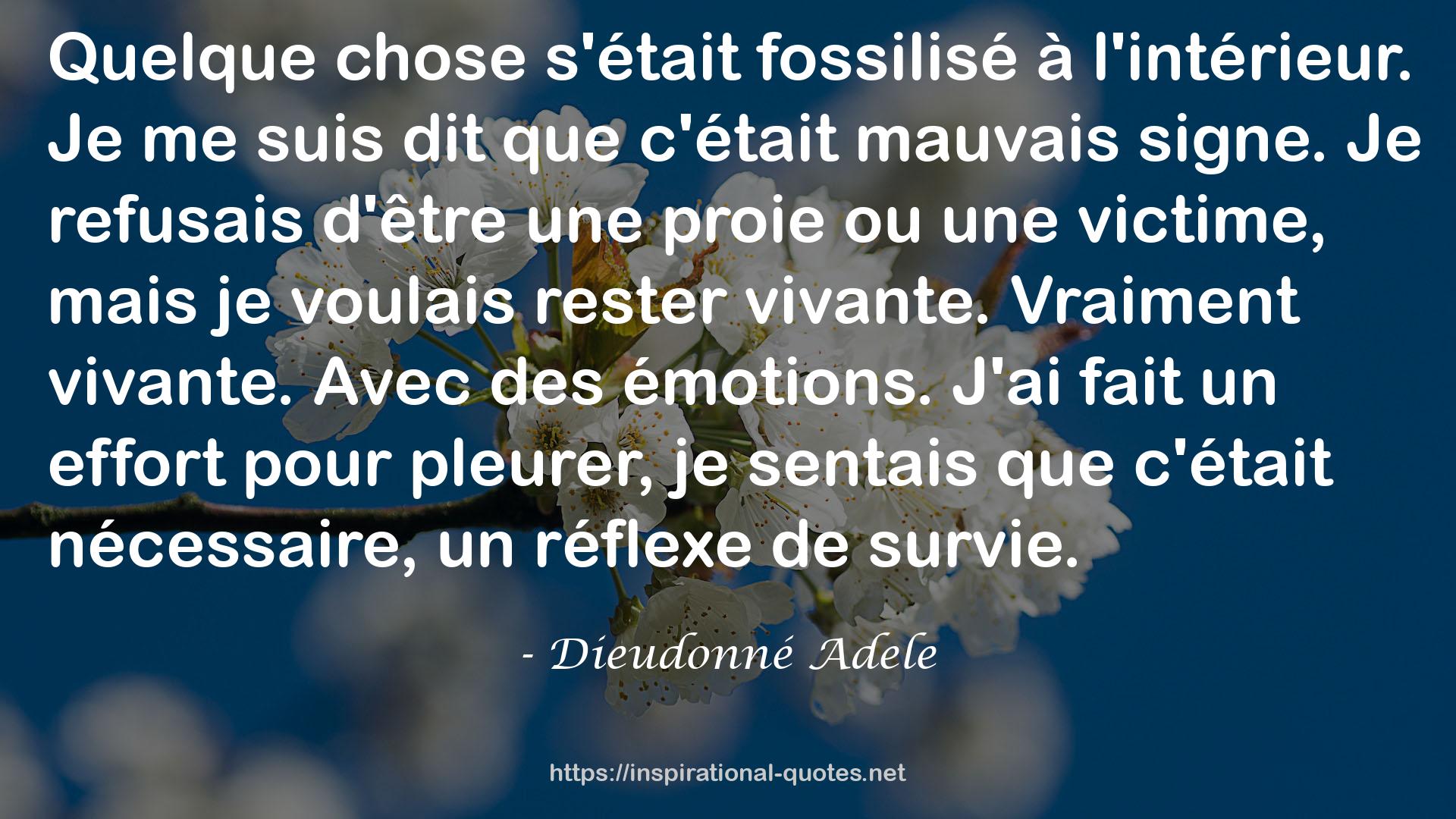 Dieudonné Adele QUOTES