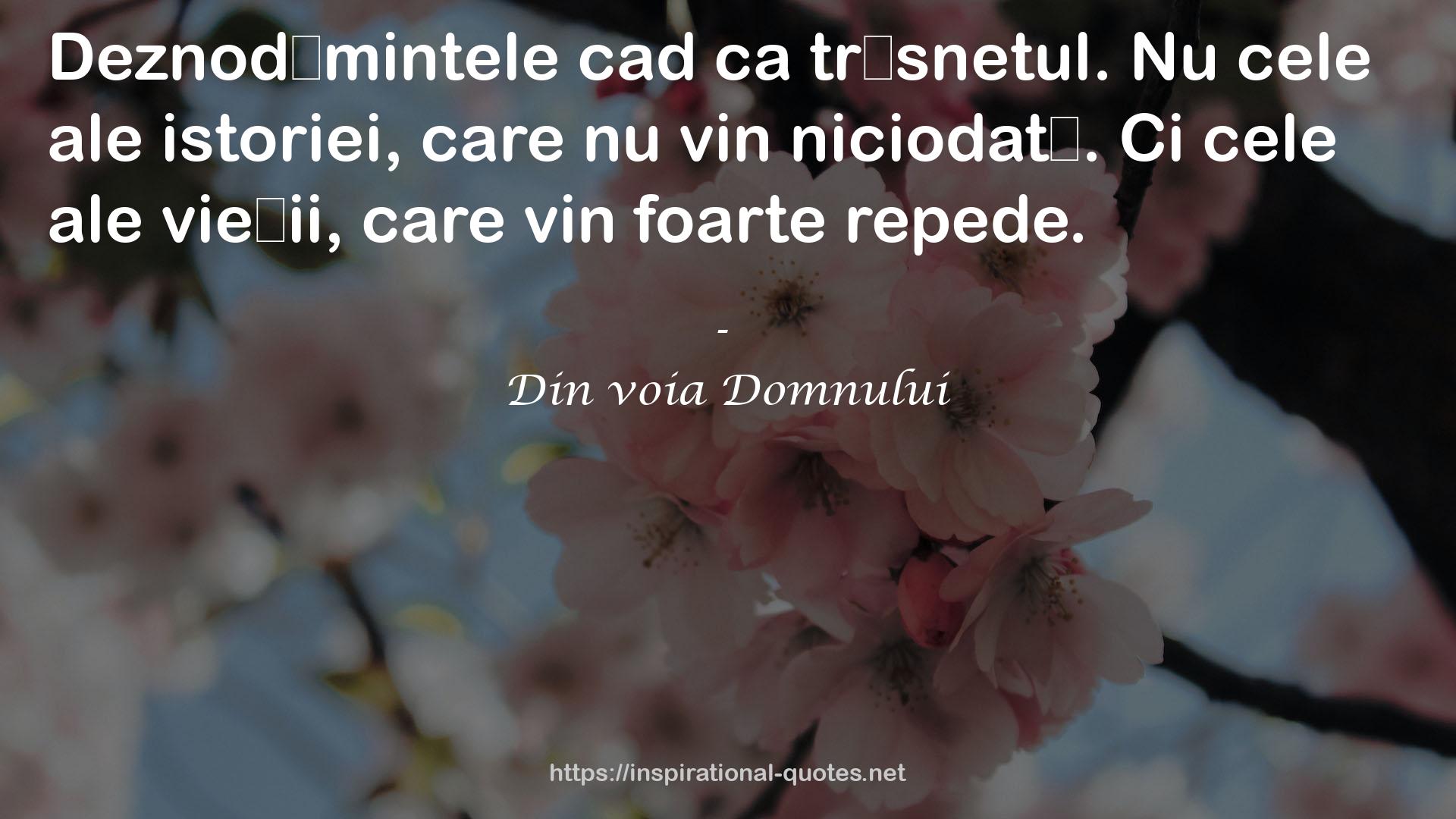 Din voia Domnului QUOTES