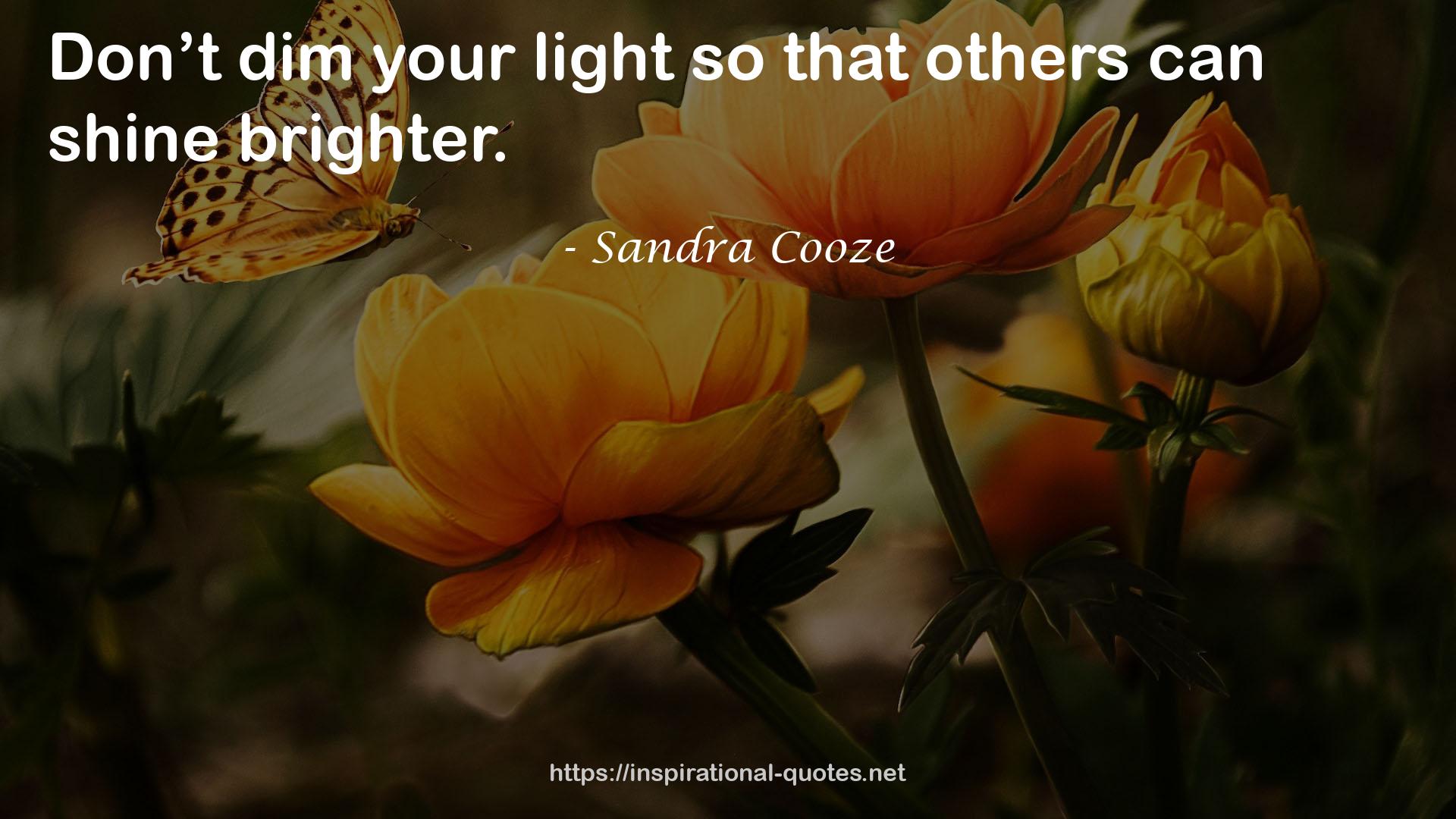 Sandra Cooze QUOTES