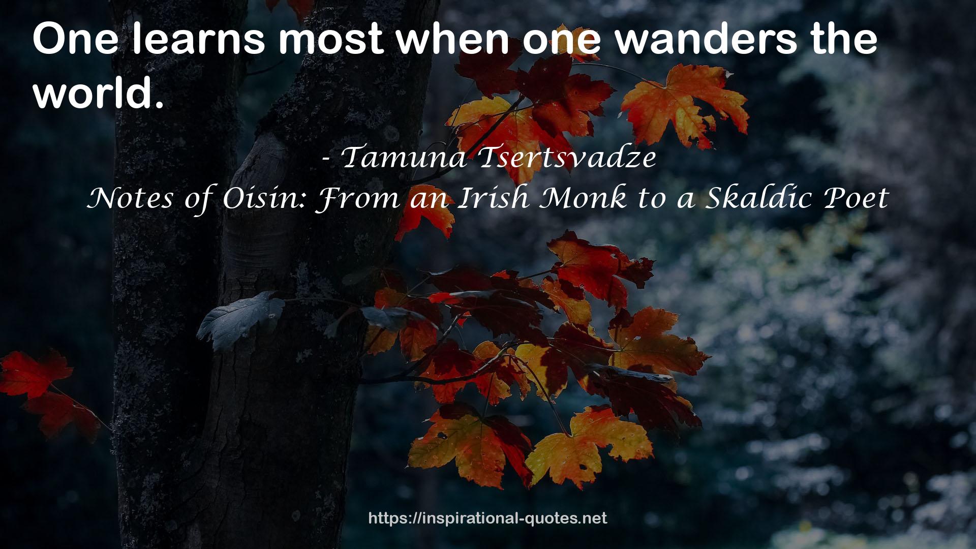 Notes of Oisin: From an Irish Monk to a Skaldic Poet QUOTES