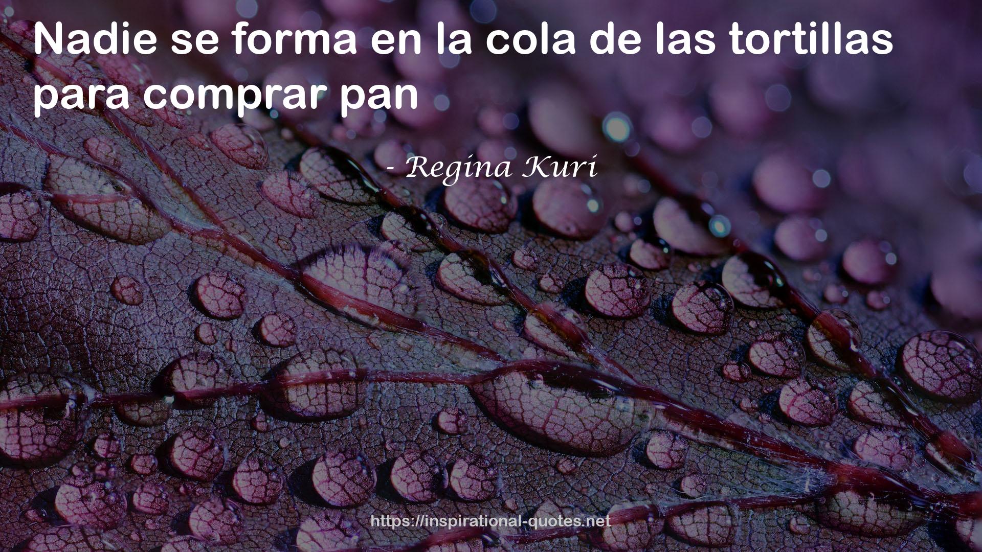 Regina Kuri QUOTES