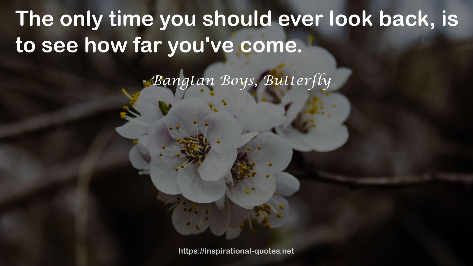 Bangtan Boys, Butterfly QUOTES