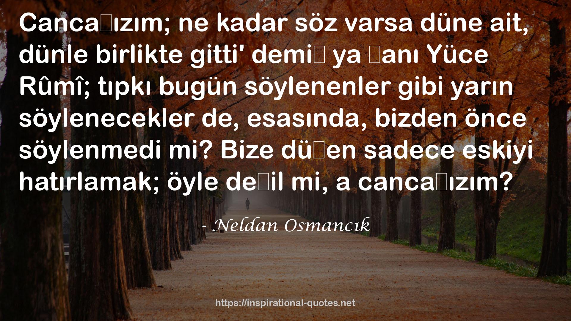 Neldan Osmancık QUOTES