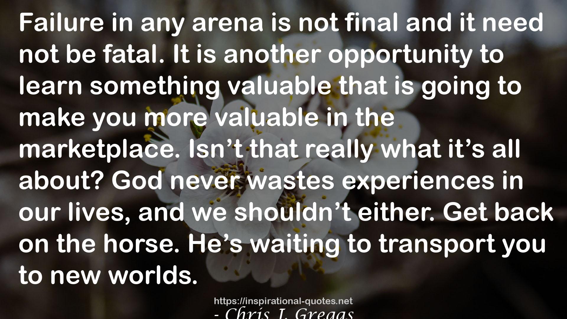 Chris J. Gregas QUOTES