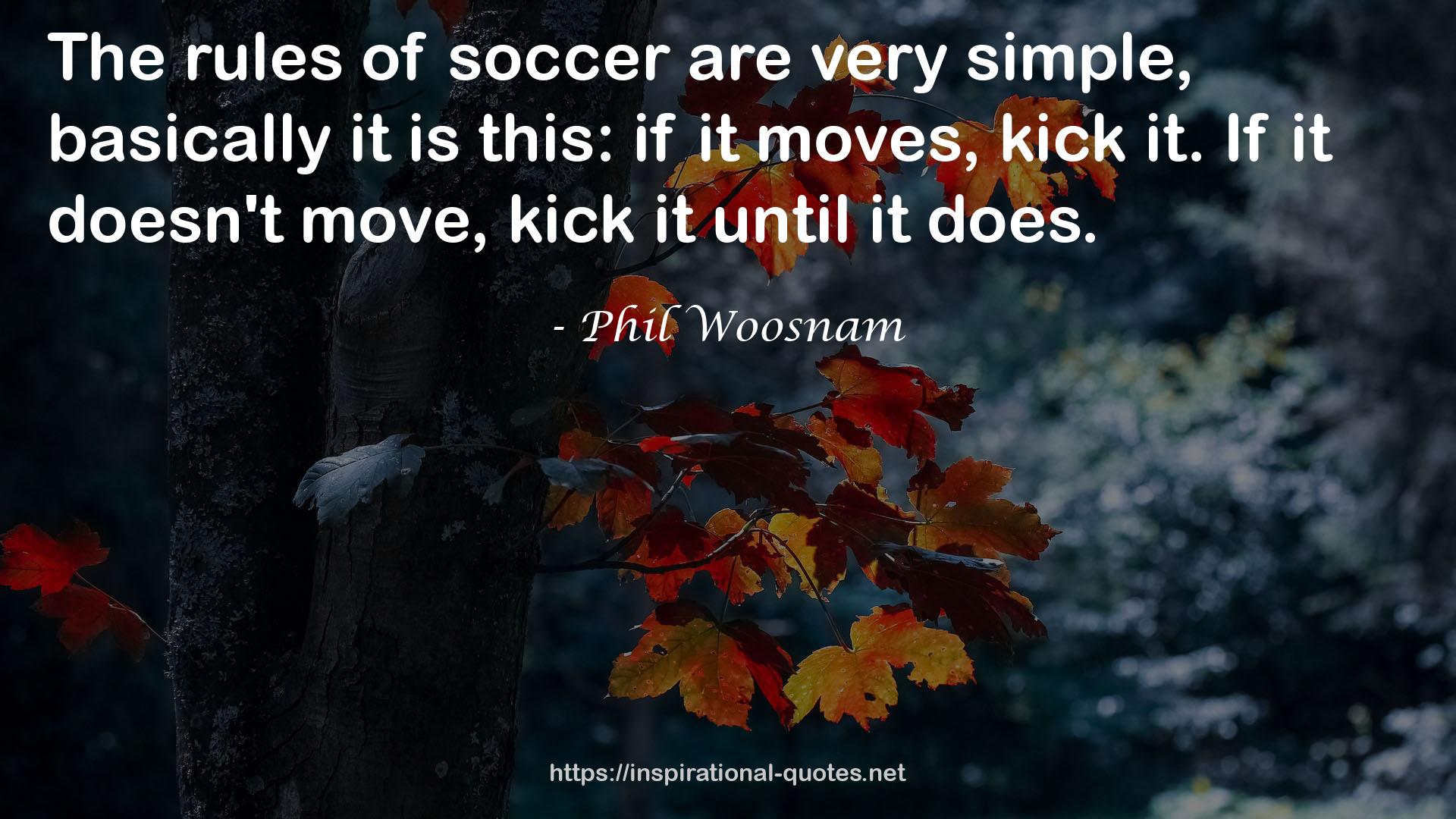 Phil Woosnam QUOTES