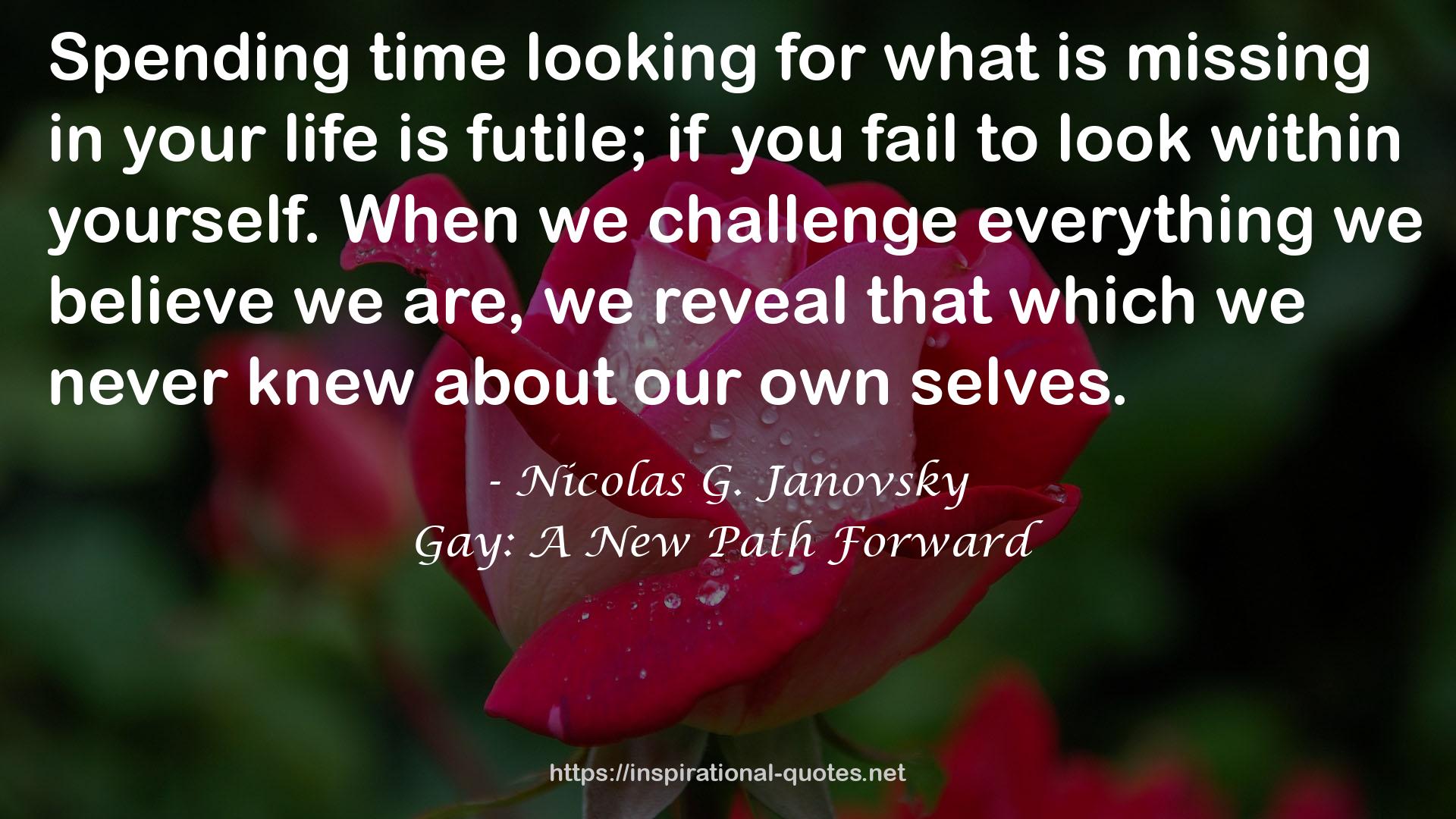 Gay: A New Path Forward QUOTES