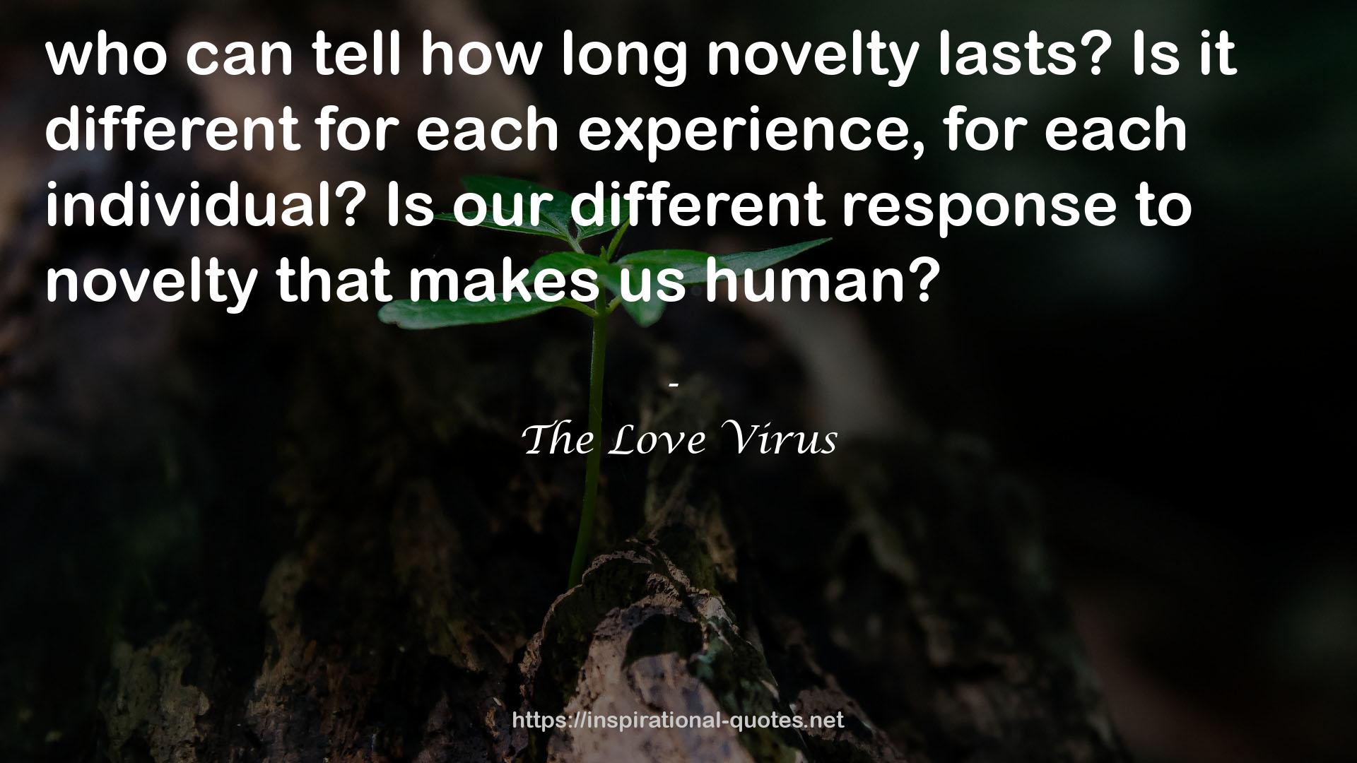 The Love Virus QUOTES