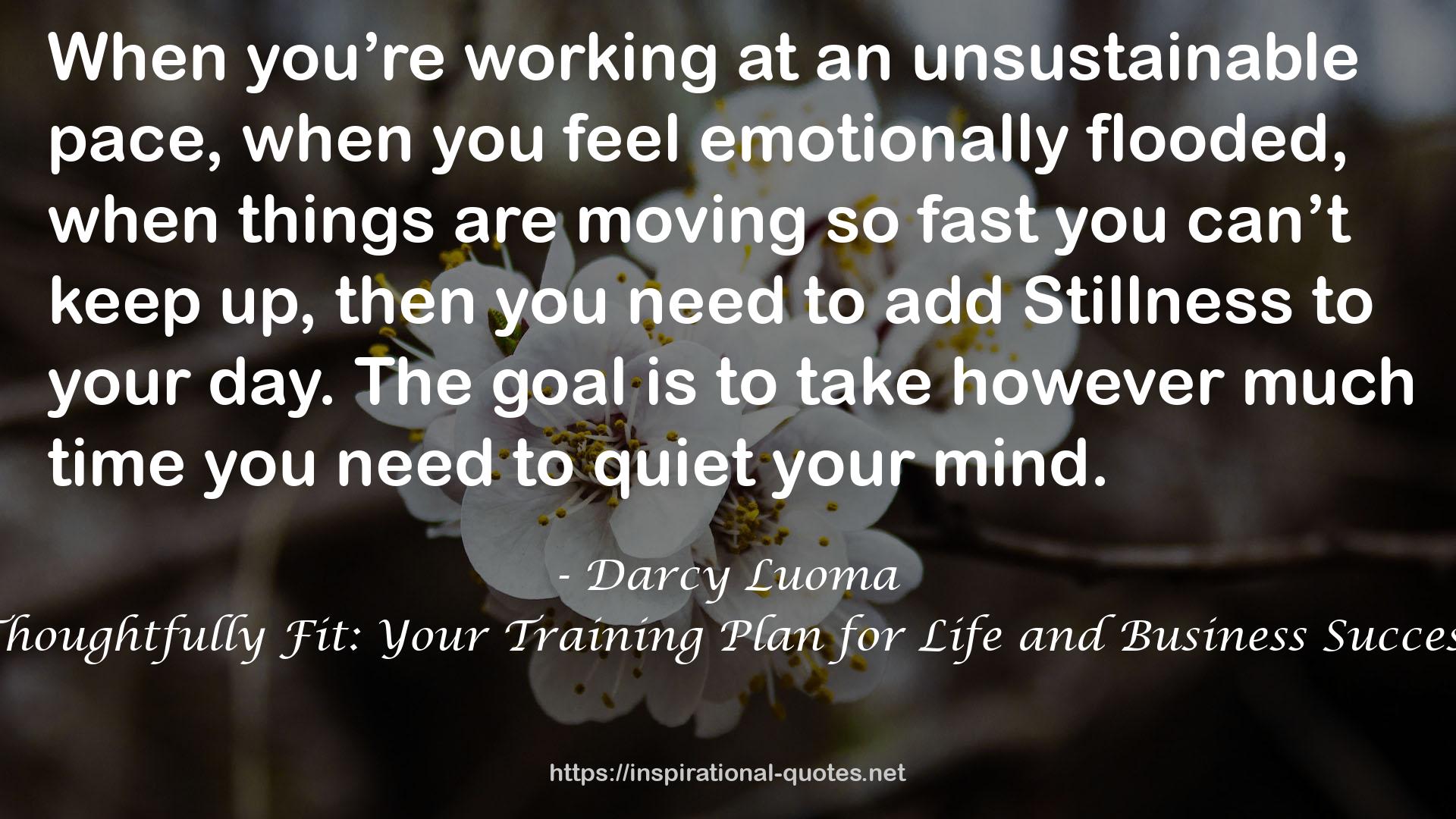 Thoughtfully Fit: Your Training Plan for Life and Business Success QUOTES