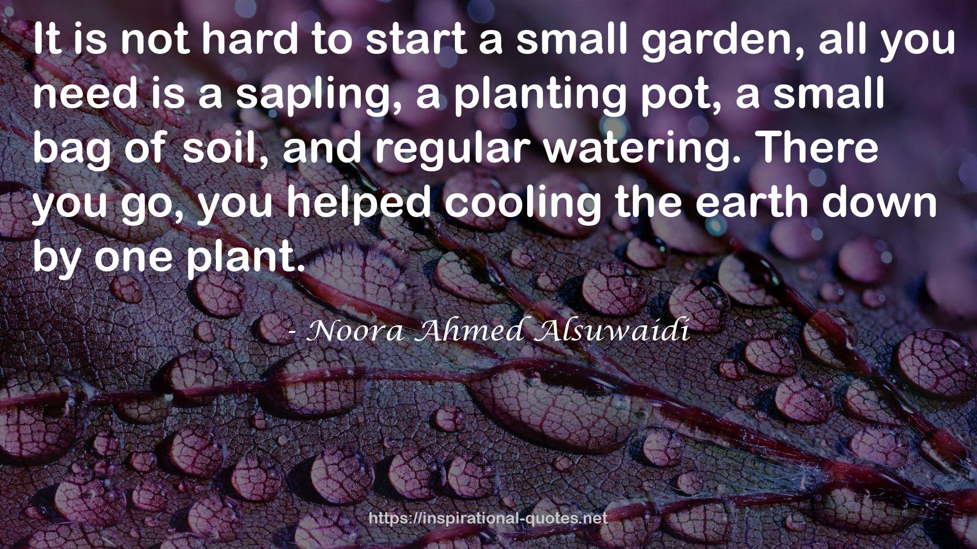 Noora Ahmed Alsuwaidi QUOTES