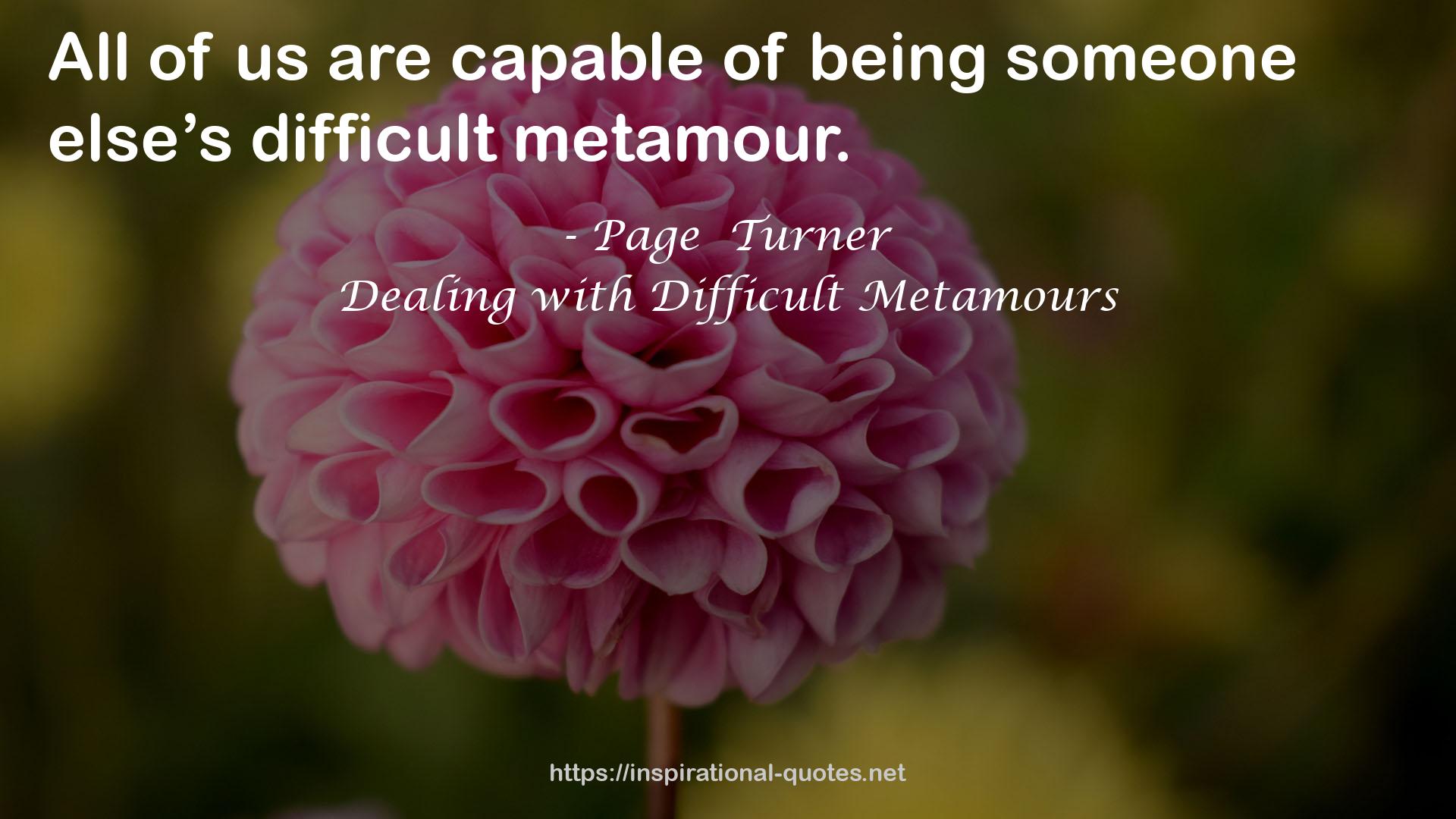 Dealing with Difficult Metamours QUOTES