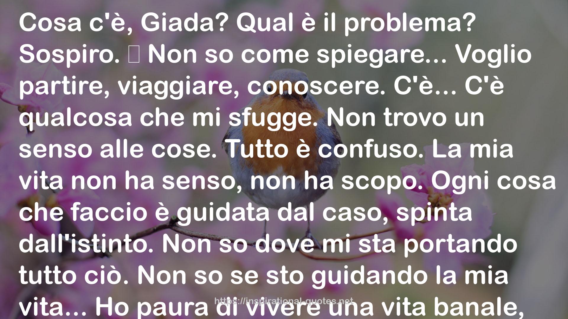 Giulia Nepote QUOTES