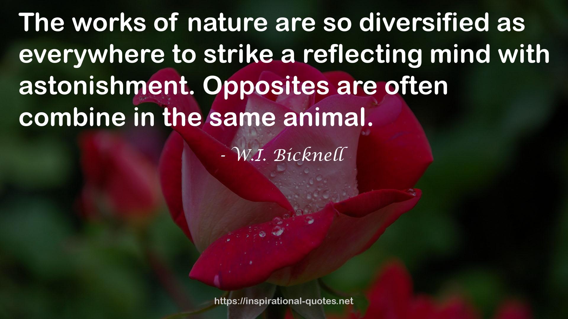 W.I. Bicknell QUOTES