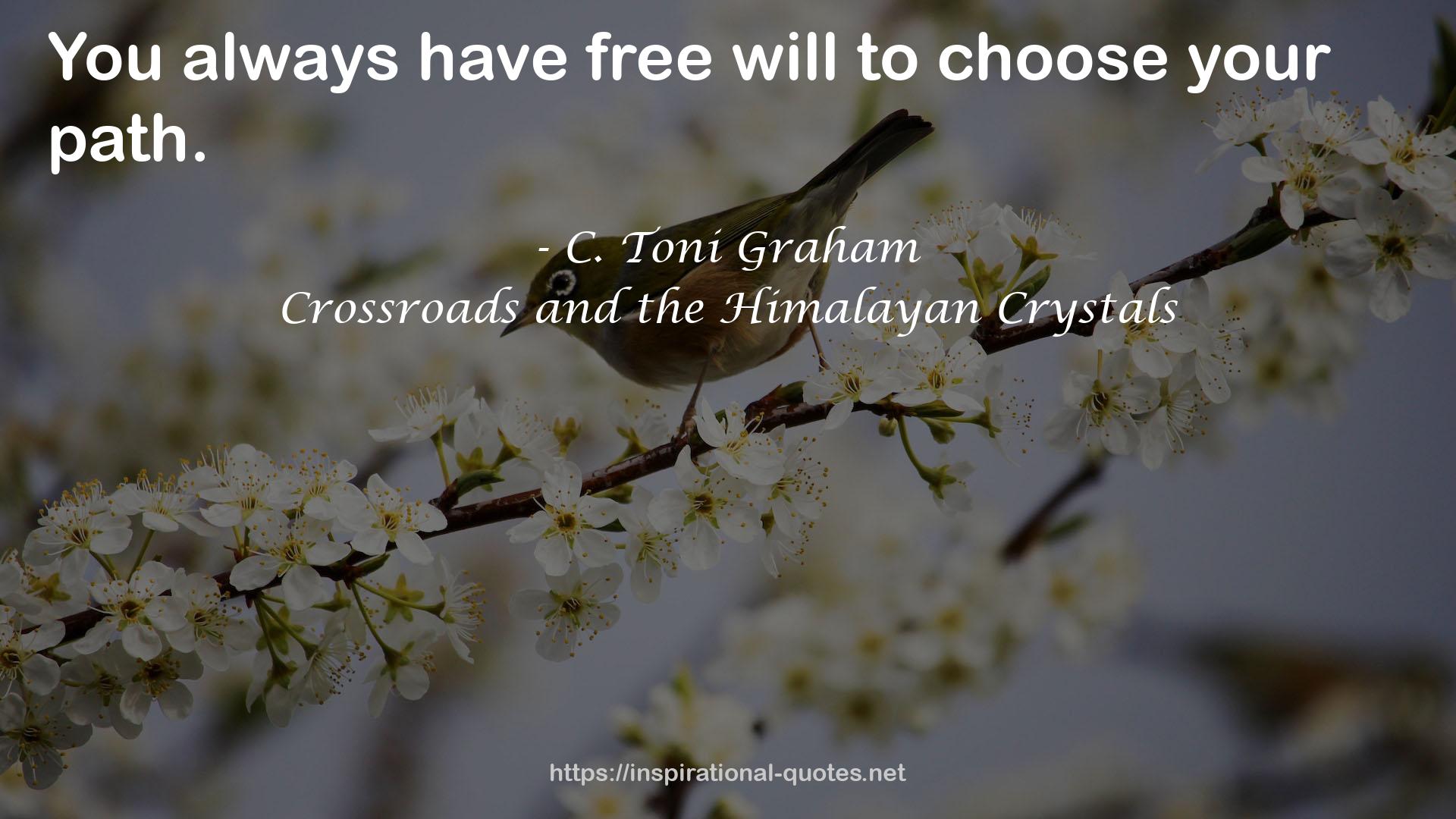 Crossroads and the Himalayan Crystals QUOTES