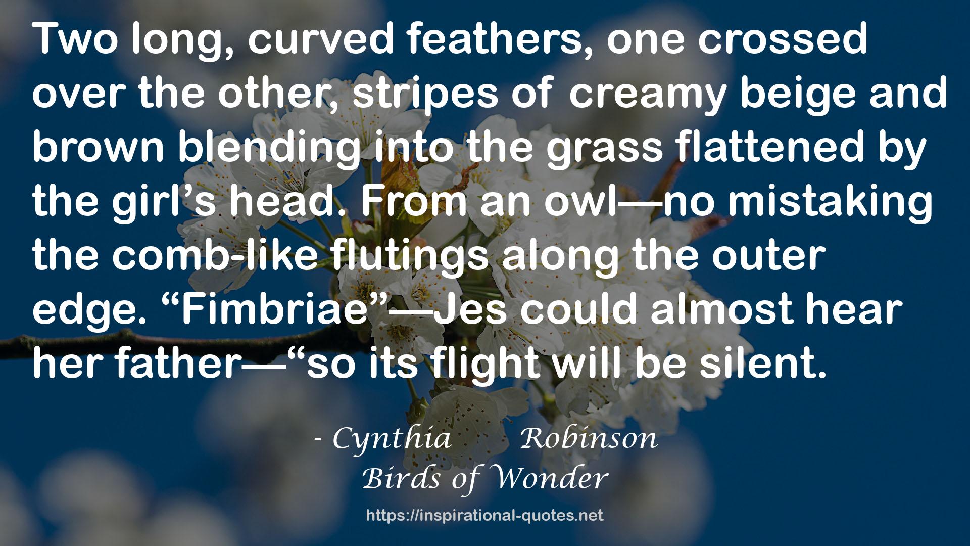 Birds of Wonder QUOTES