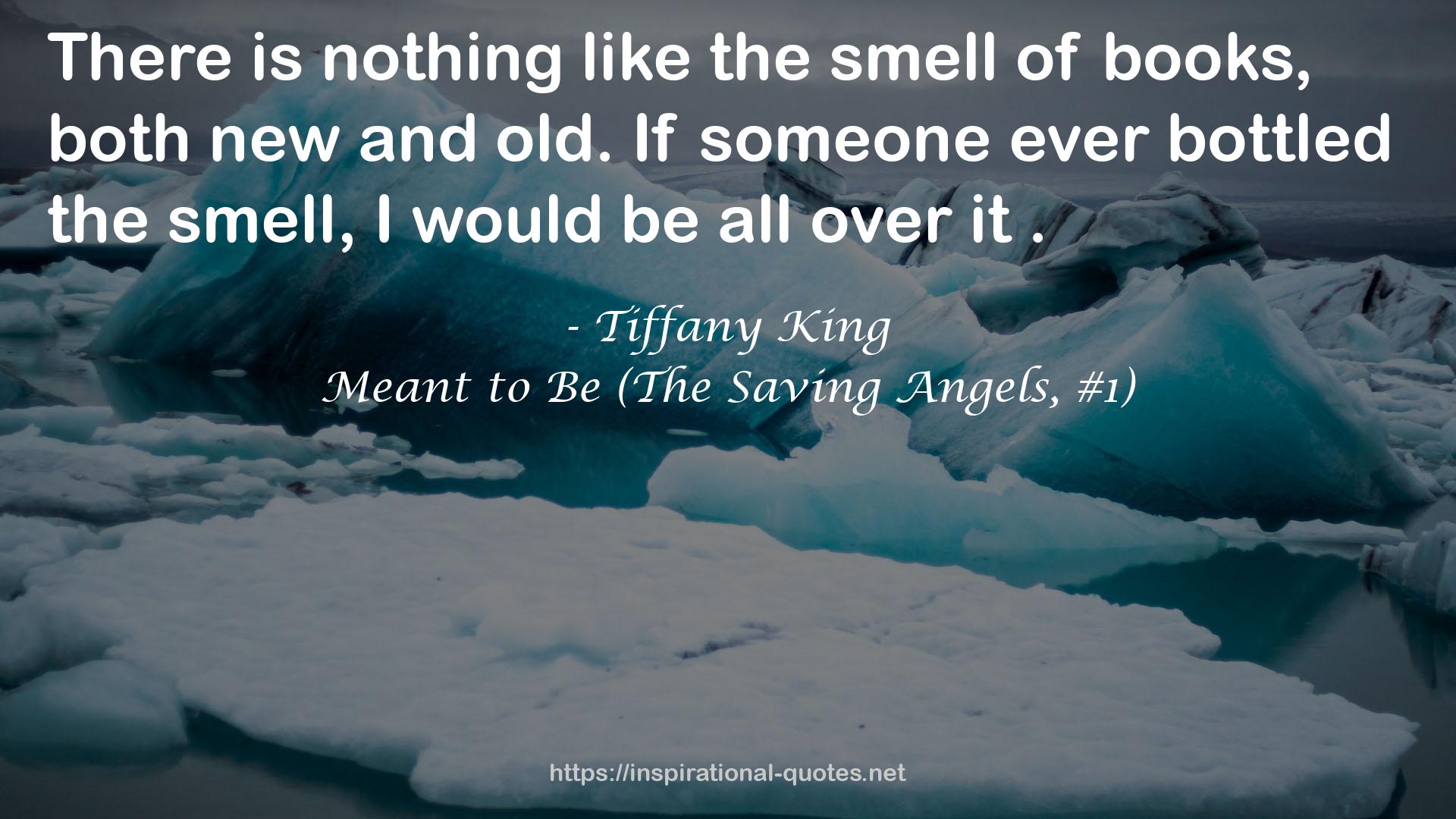 Meant to Be (The Saving Angels, #1) QUOTES