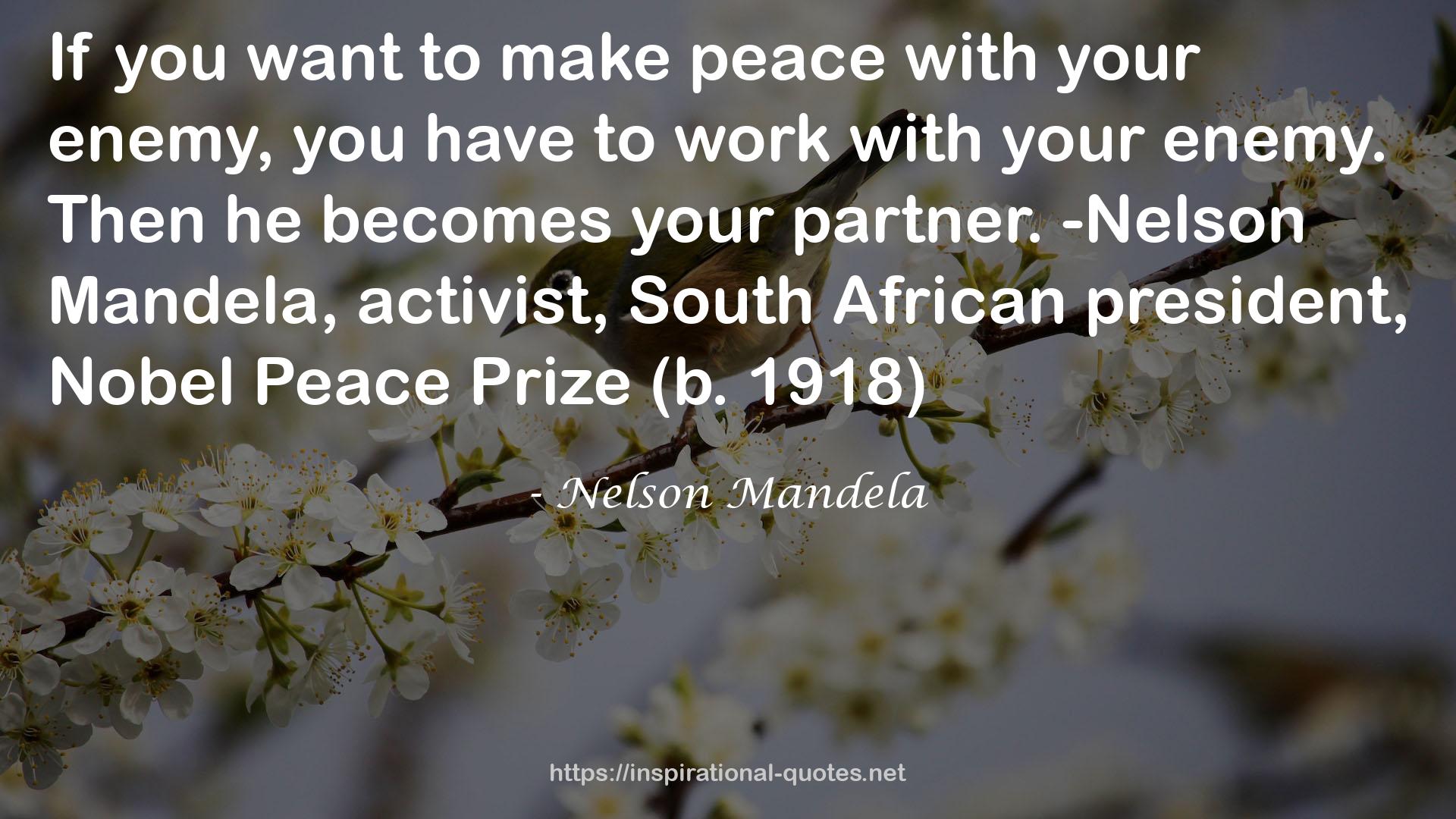 Nobel Peace Prize  QUOTES