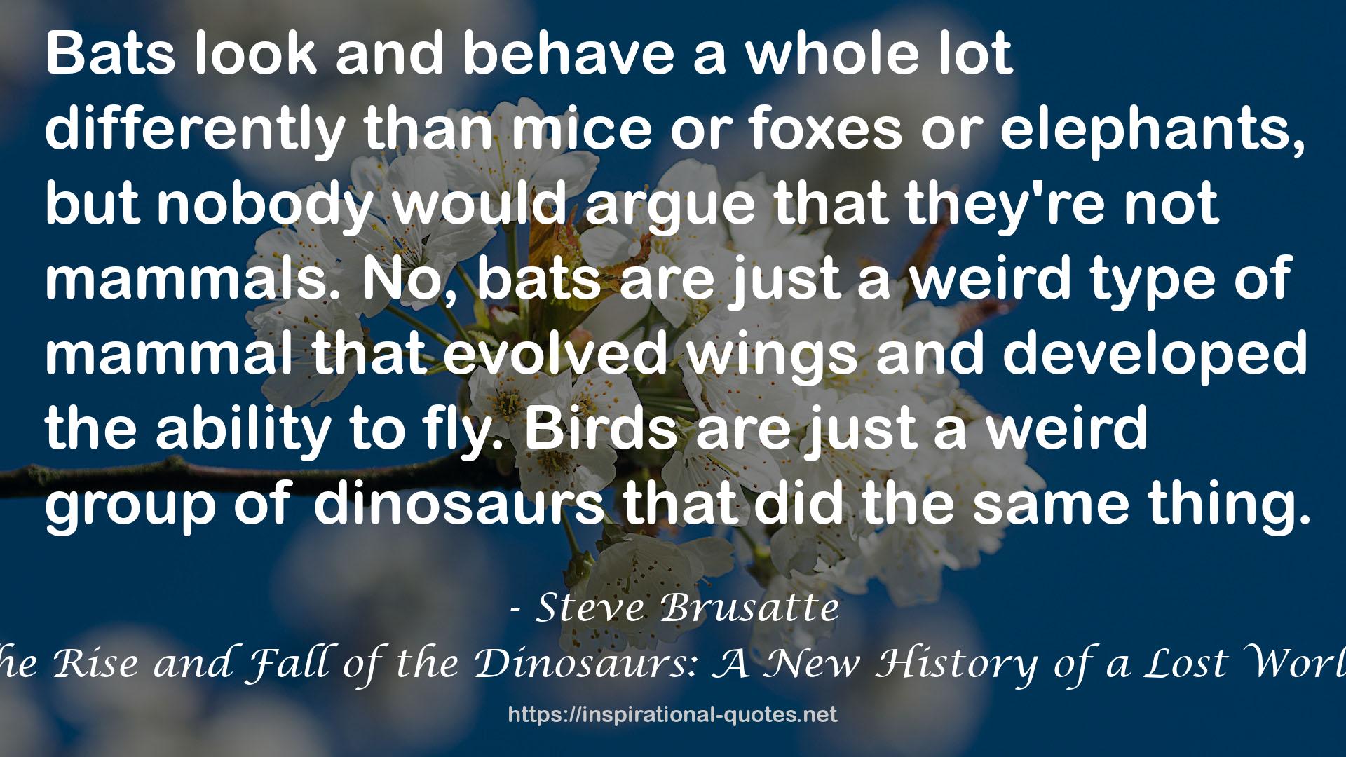 Steve Brusatte QUOTES