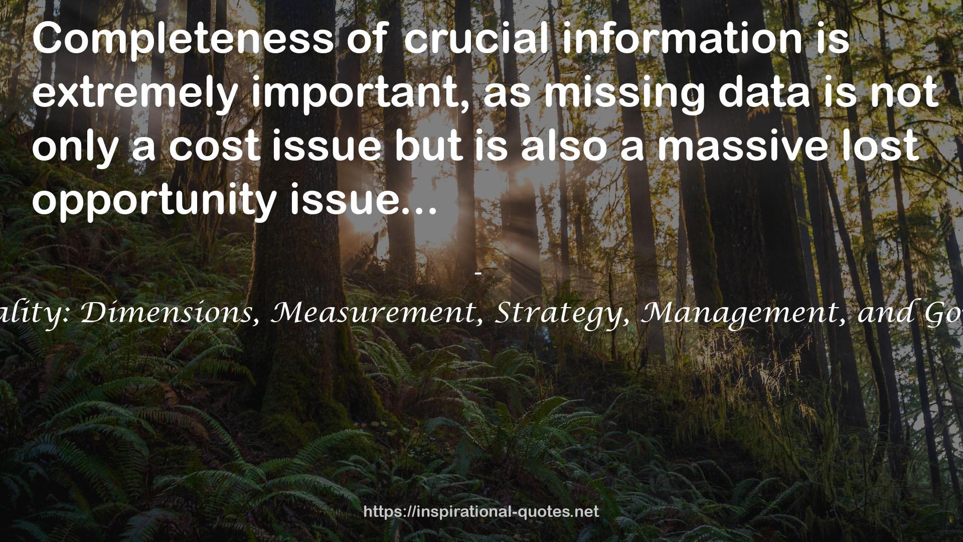 Data Quality: Dimensions, Measurement, Strategy, Management, and Governance QUOTES
