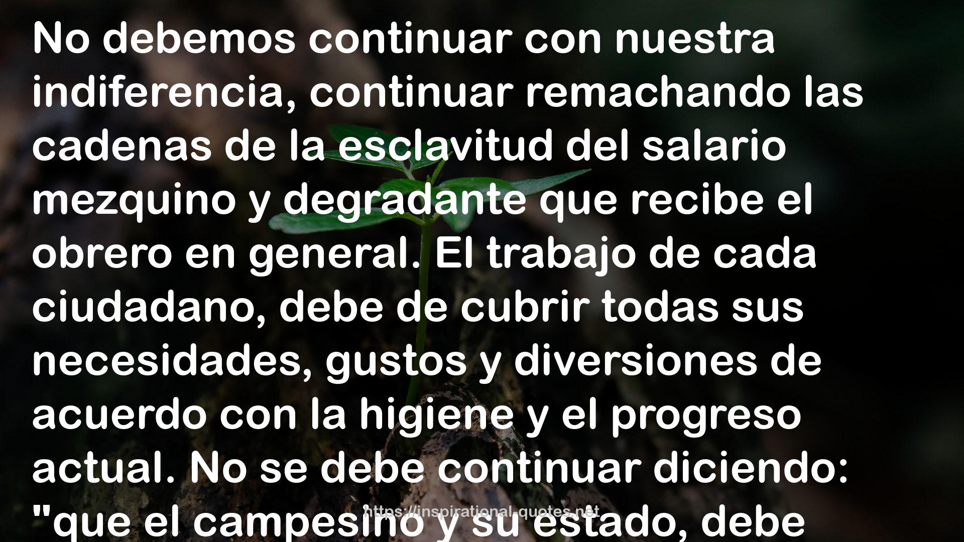 A Nation of Women: An Early Feminist Speaks Out: Mi Opinion Sobre Las Libertades, Derechos y Deberes de La Mujer QUOTES