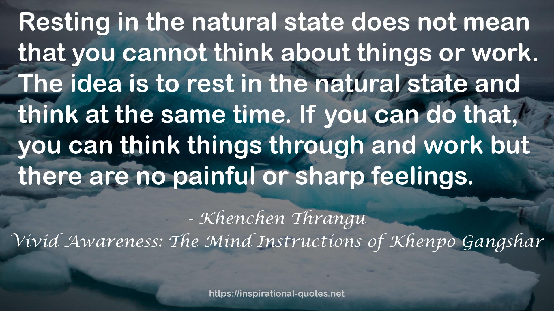 Vivid Awareness: The Mind Instructions of Khenpo Gangshar QUOTES