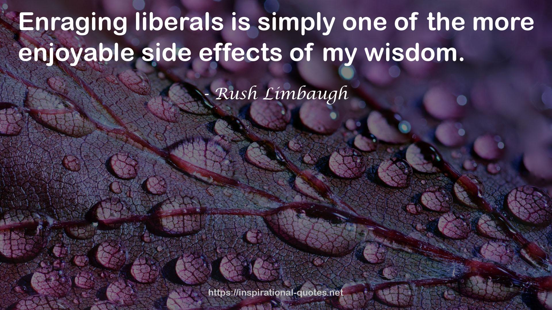 Rush Limbaugh QUOTES