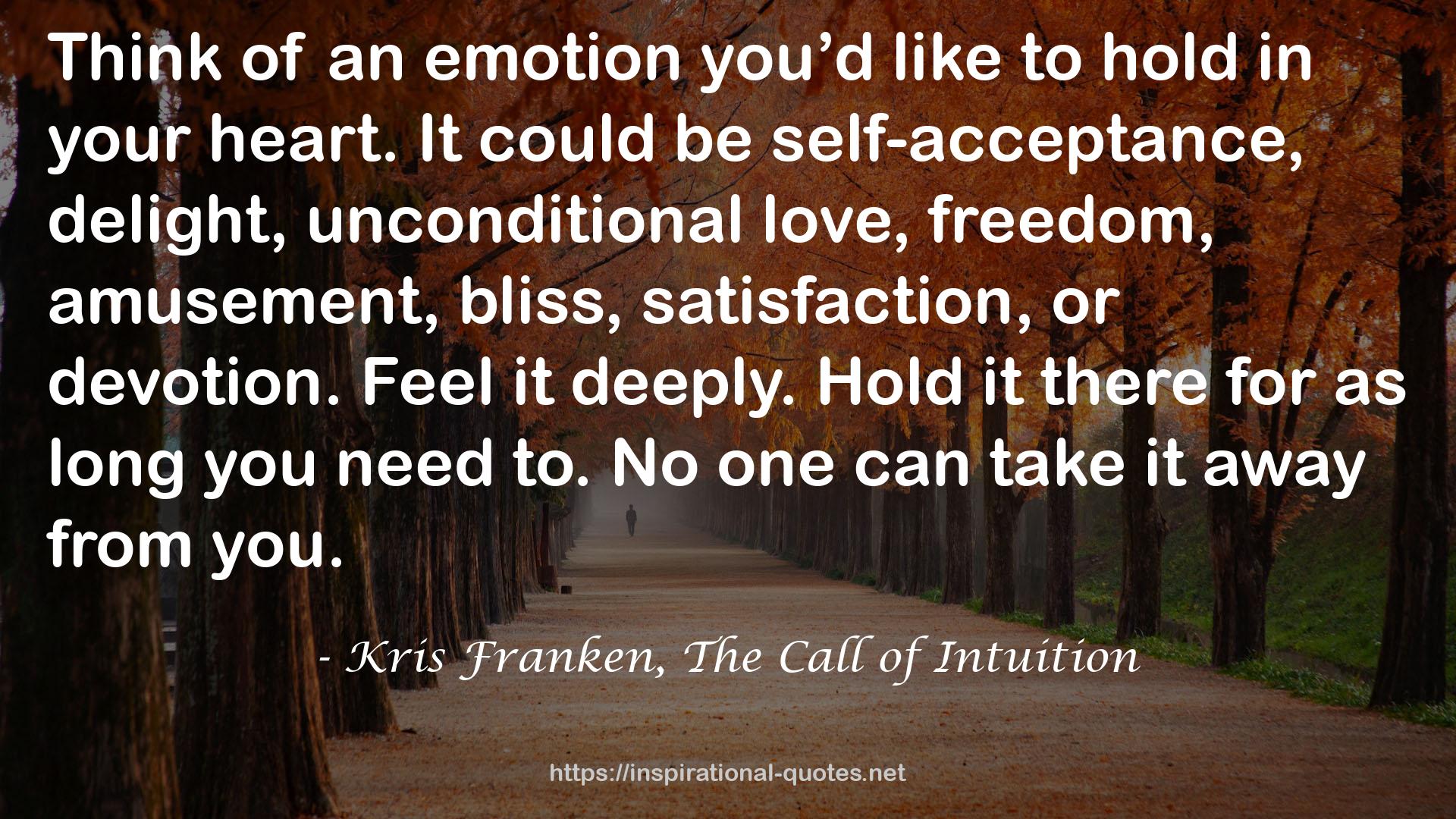 Kris Franken, The Call of Intuition QUOTES