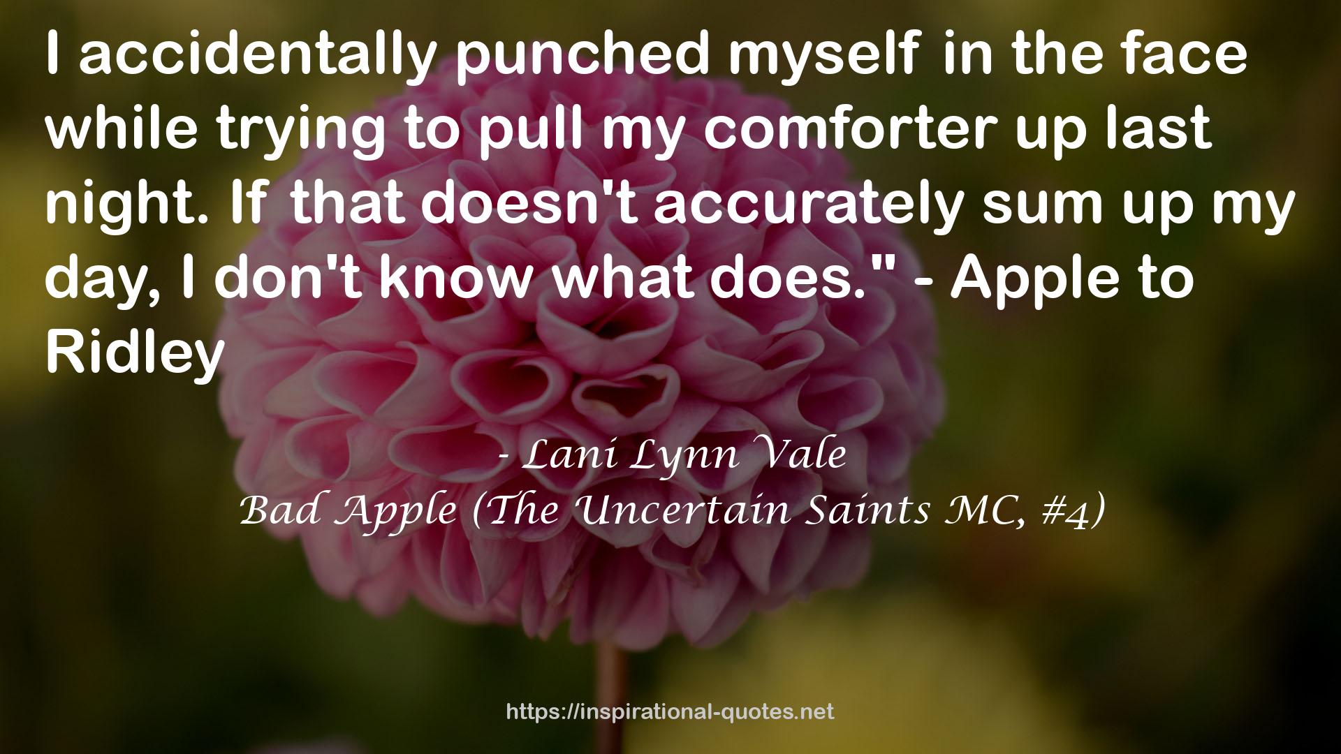 Bad Apple (The Uncertain Saints MC, #4) QUOTES