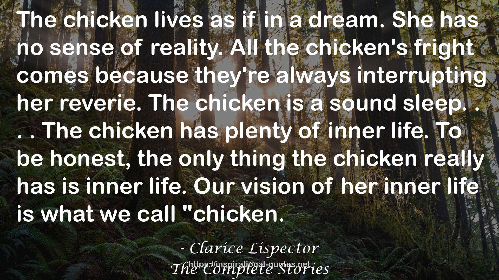 Clarice Lispector QUOTES