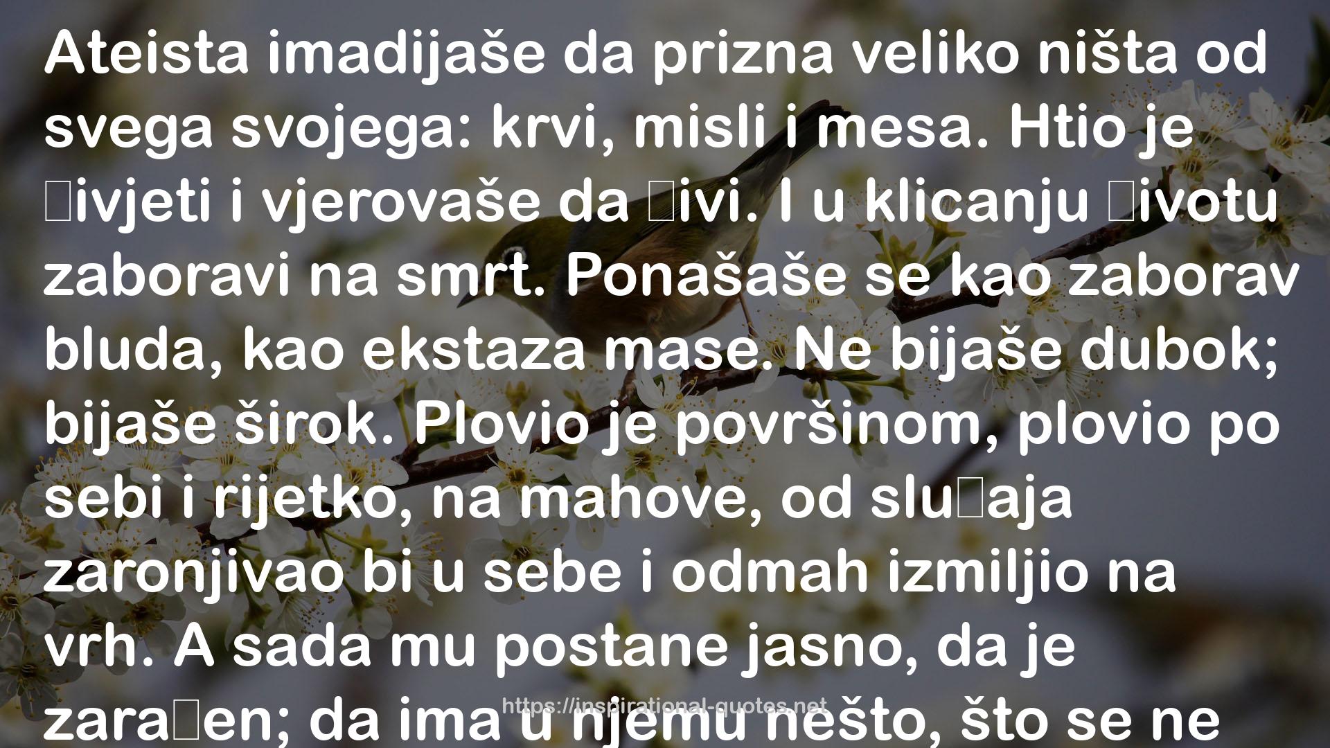 Janko Polić Kamov QUOTES