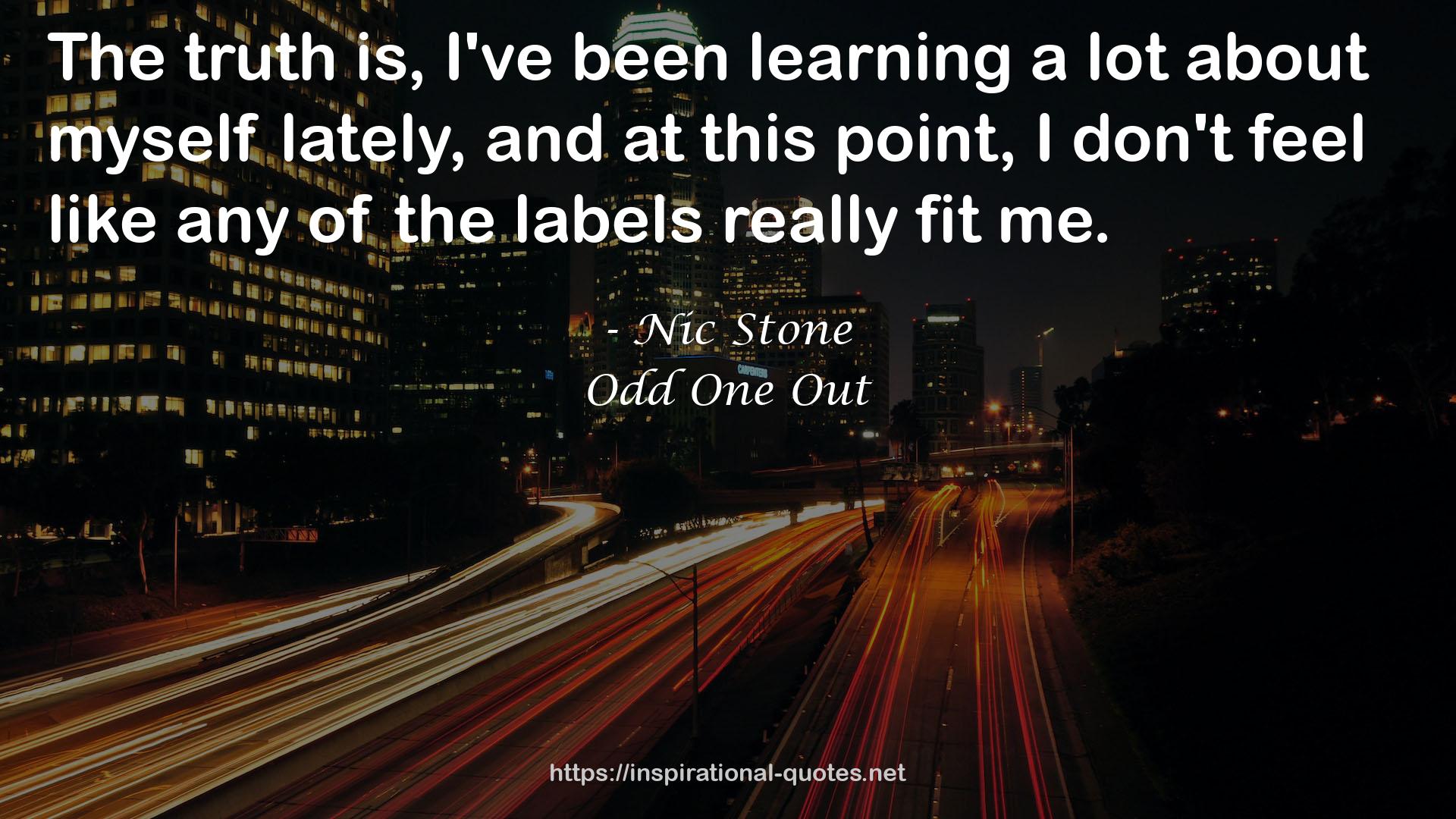 Nic Stone QUOTES