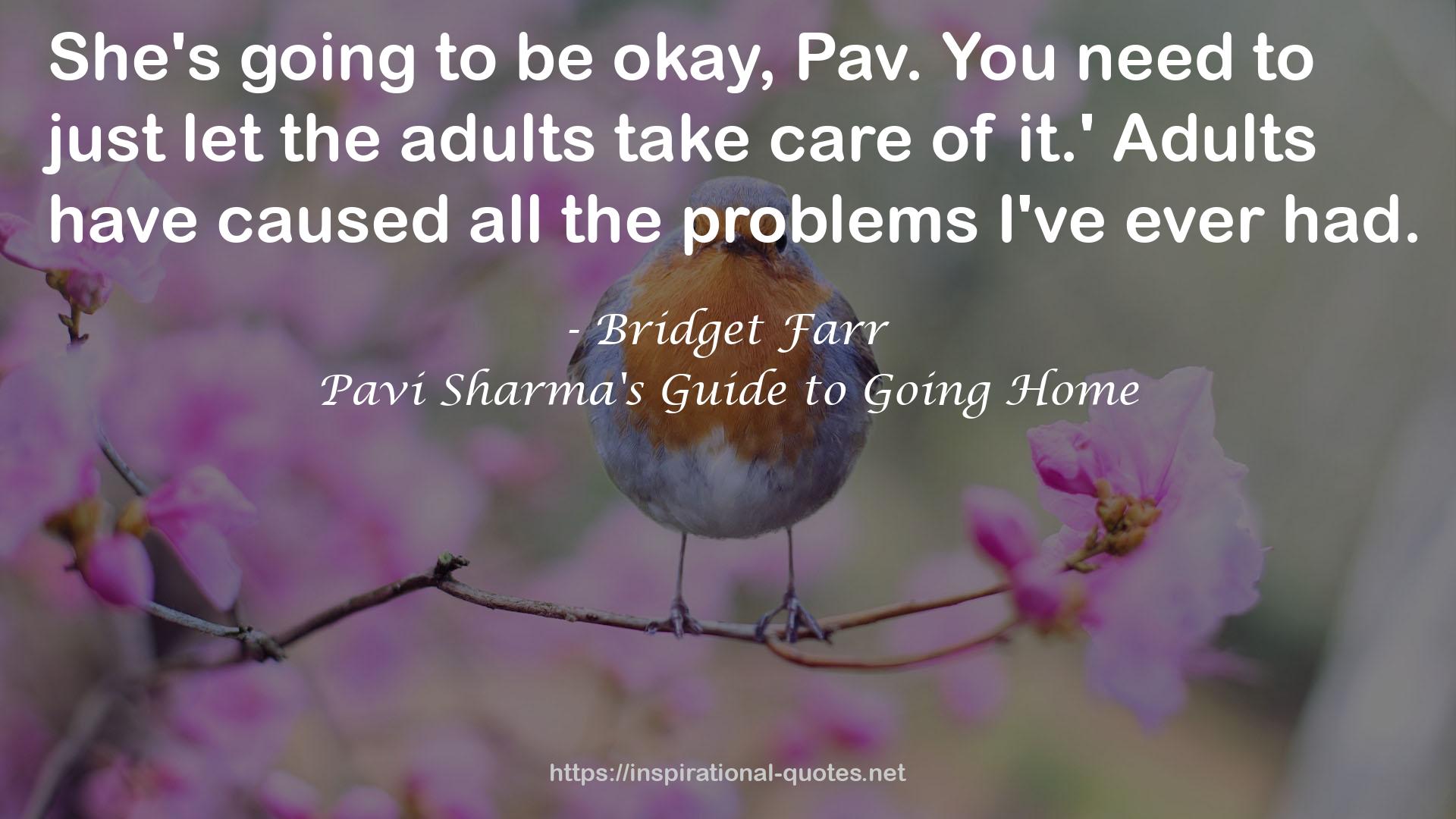 Pavi Sharma's Guide to Going Home QUOTES