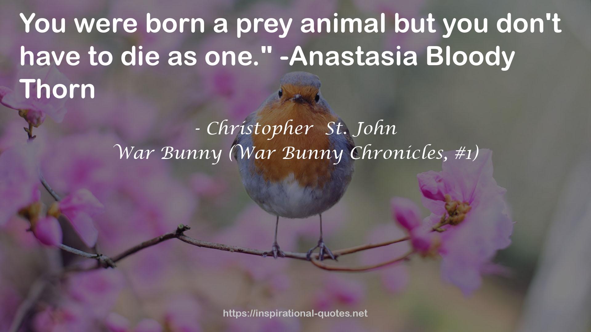 War Bunny (War Bunny Chronicles, #1) QUOTES