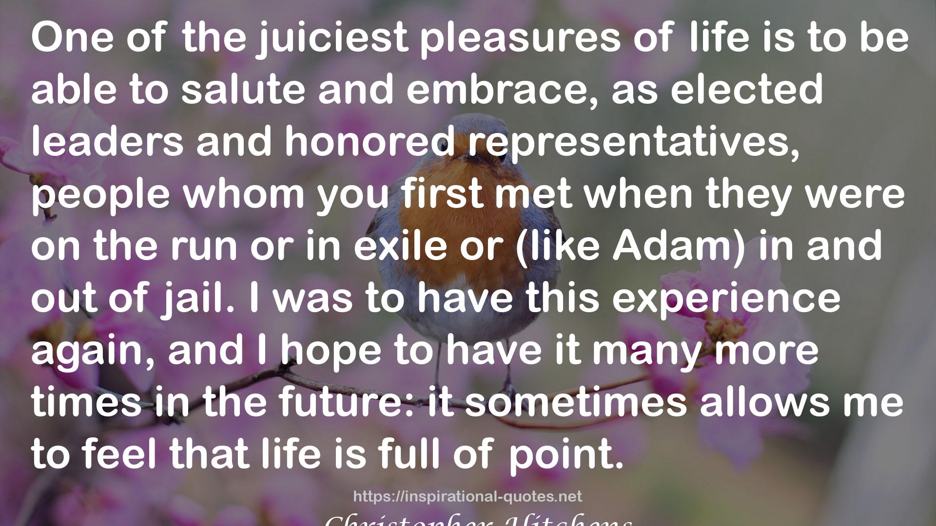 the juiciest pleasures  QUOTES