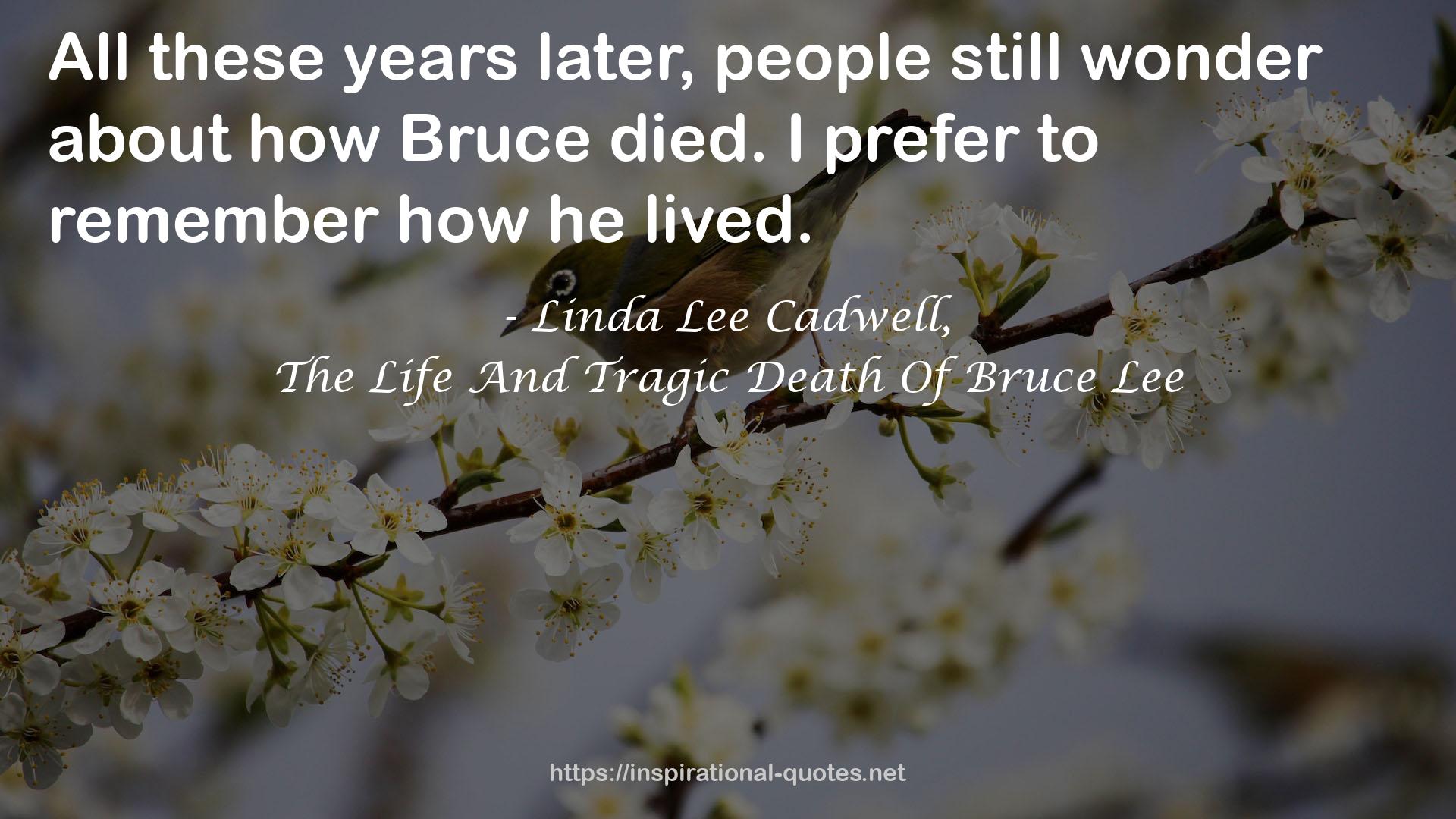 The Life And Tragic Death Of Bruce Lee QUOTES