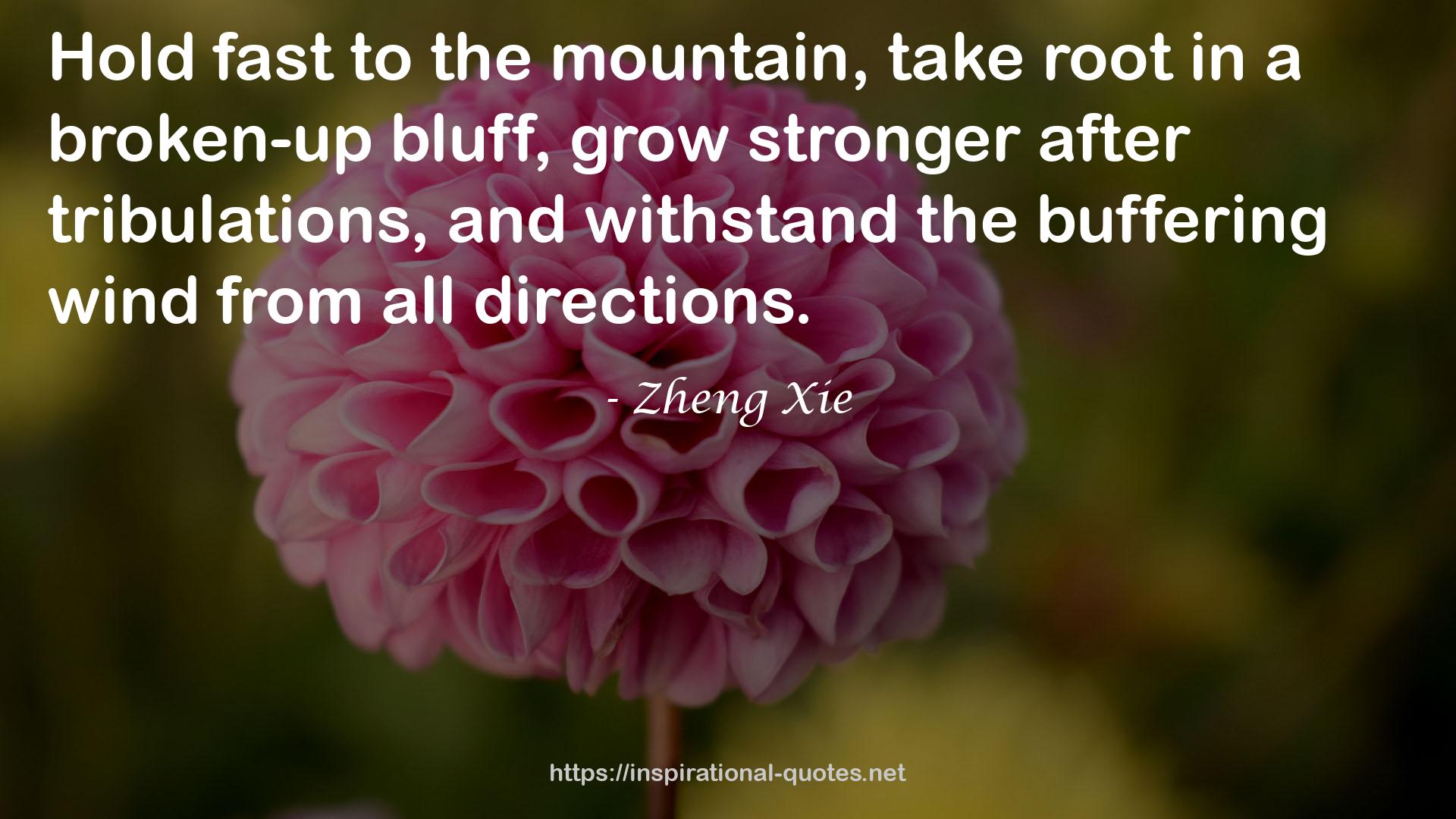 Zheng Xie QUOTES