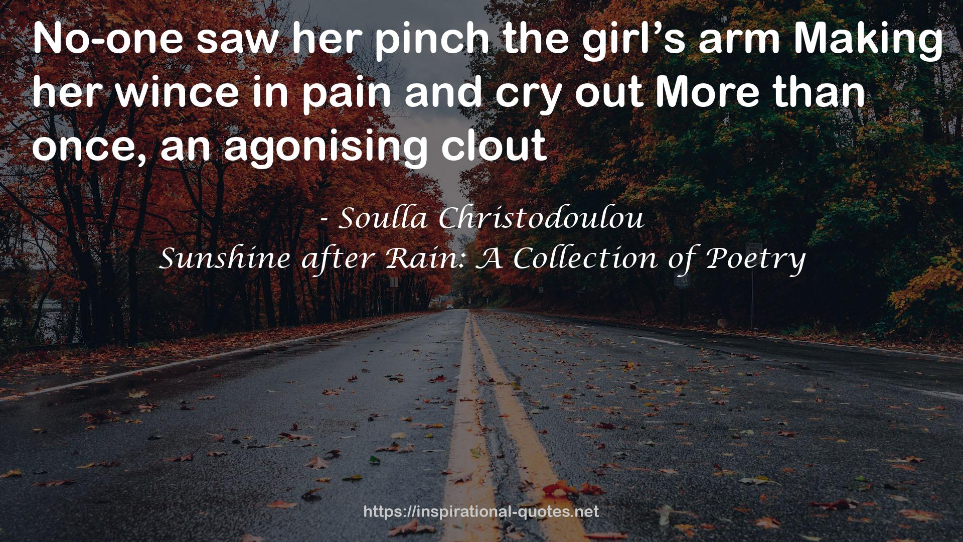 Sunshine after Rain: A Collection of Poetry QUOTES