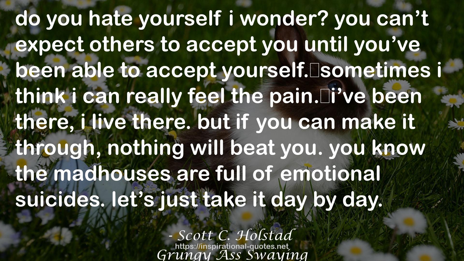 Scott C. Holstad quote : do you hate yourself i wonder? you can’t expect others to accept you until you’ve been able to accept yourself.	sometimes i think i can really feel the pain.	i’ve been there, i live there. but if you can make it through, nothing will beat you. you know the madhouses are full of emotional suicides. let’s just take it day by day.