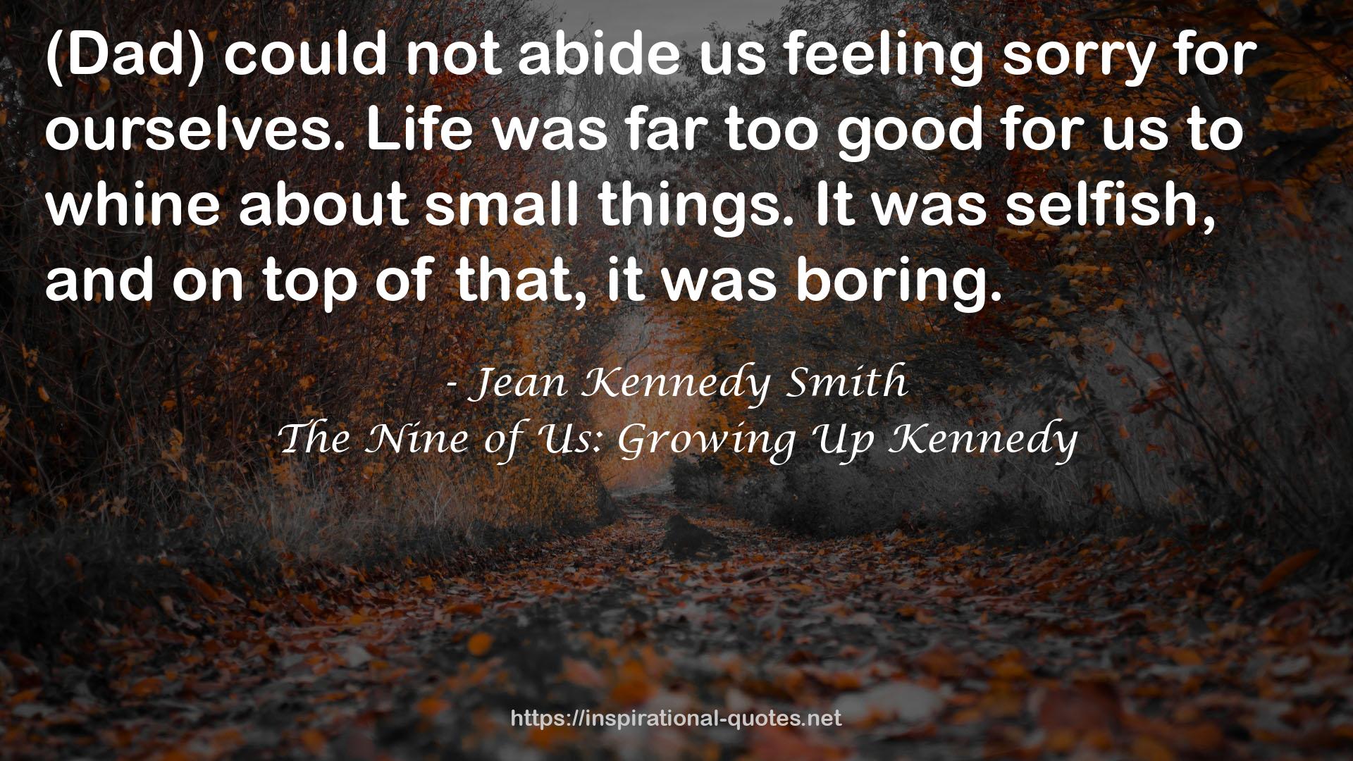 The Nine of Us: Growing Up Kennedy QUOTES