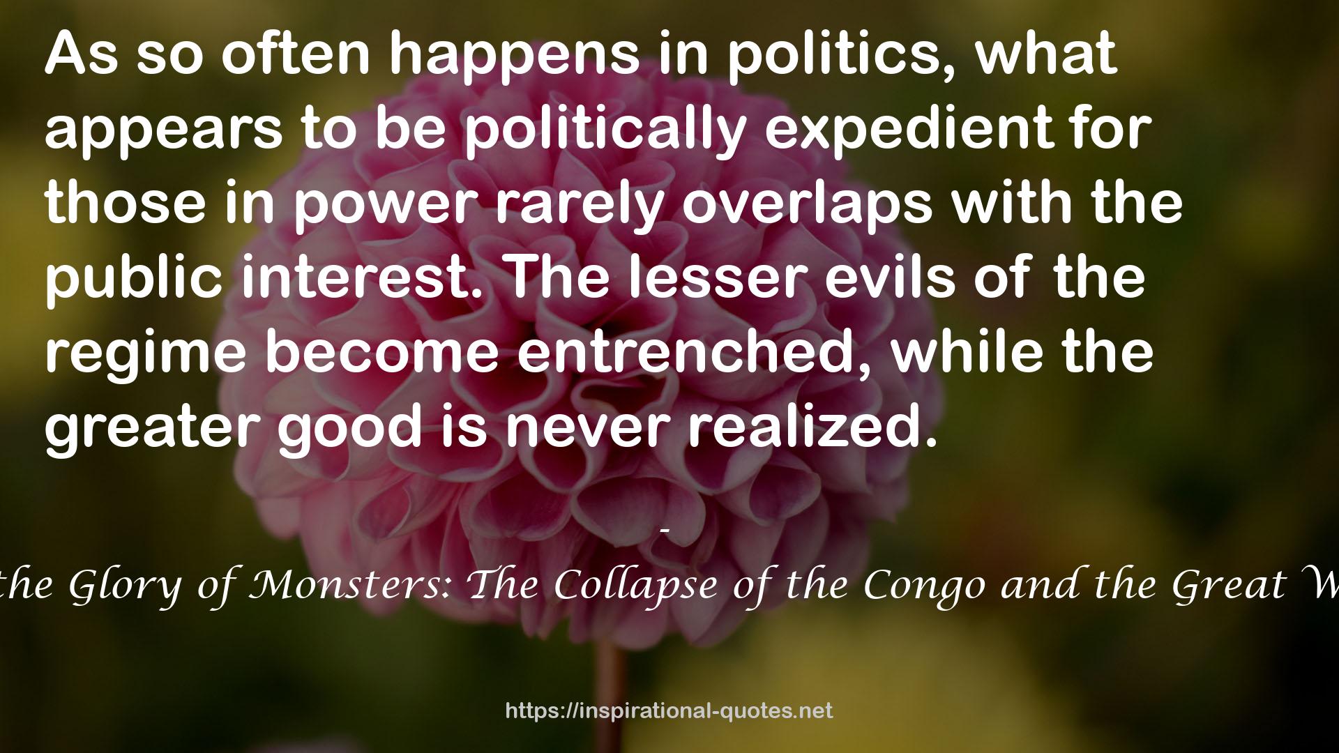 Dancing in the Glory of Monsters: The Collapse of the Congo and the Great War of Africa QUOTES