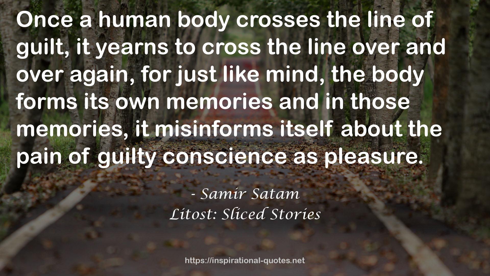 Litost: Sliced Stories QUOTES