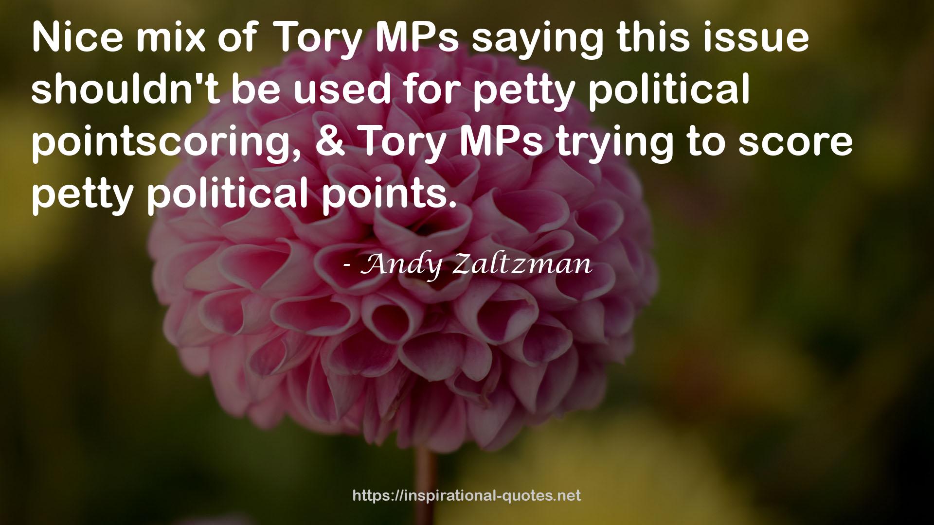 MPs  QUOTES