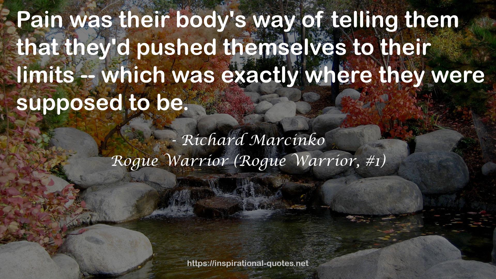 Rogue Warrior (Rogue Warrior, #1) QUOTES